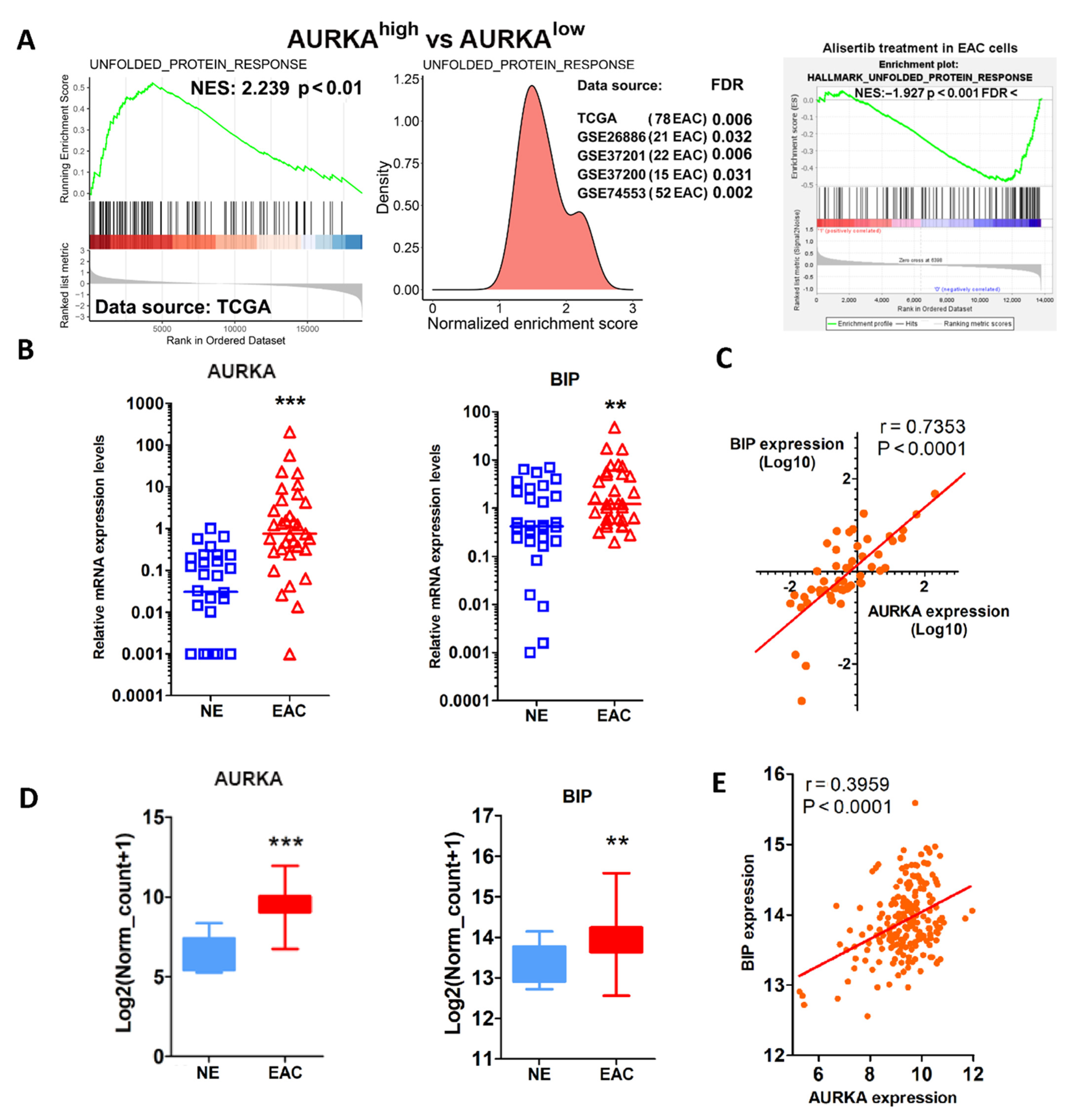 Cancers 14 01401 g001