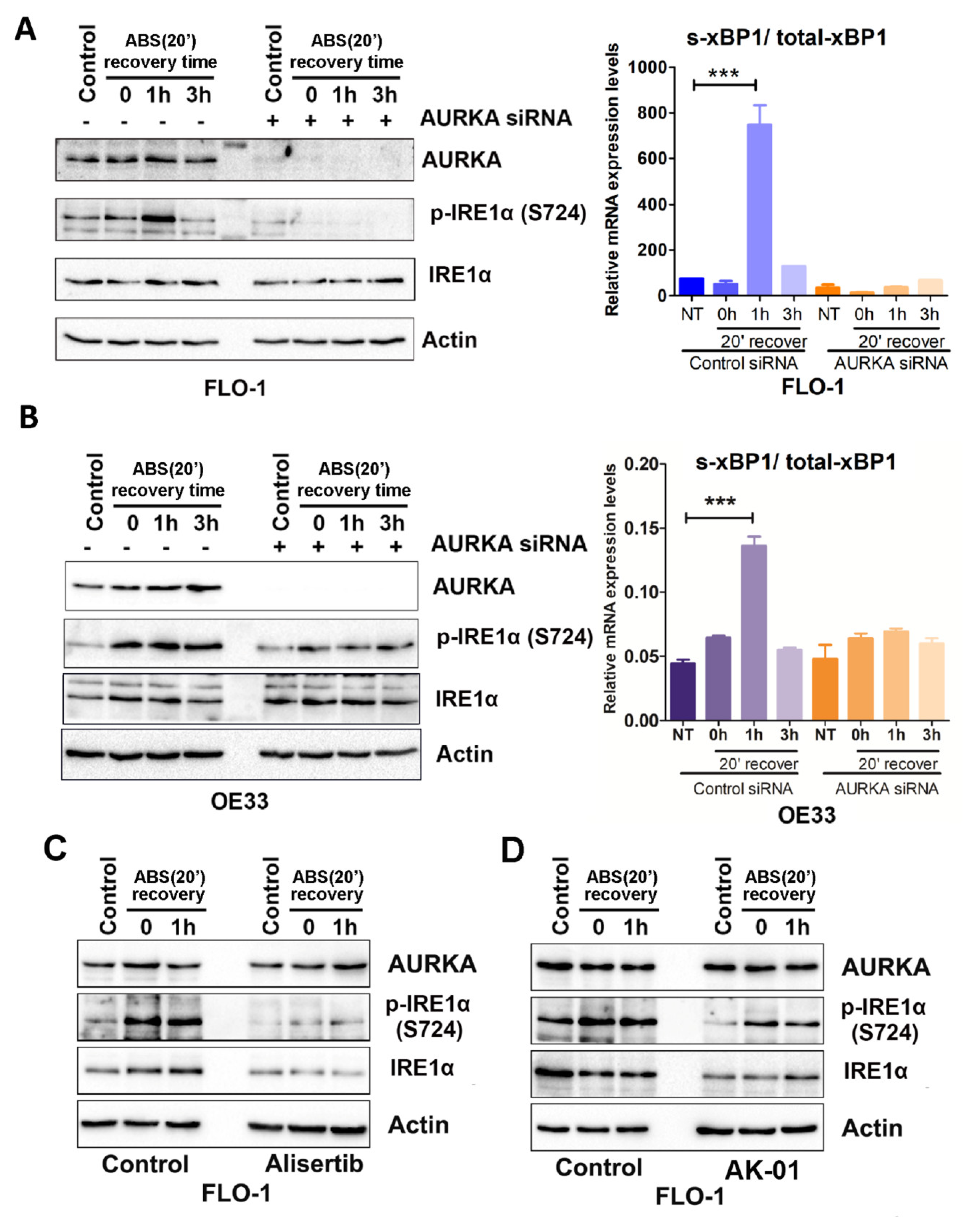 Cancers 14 01401 g003