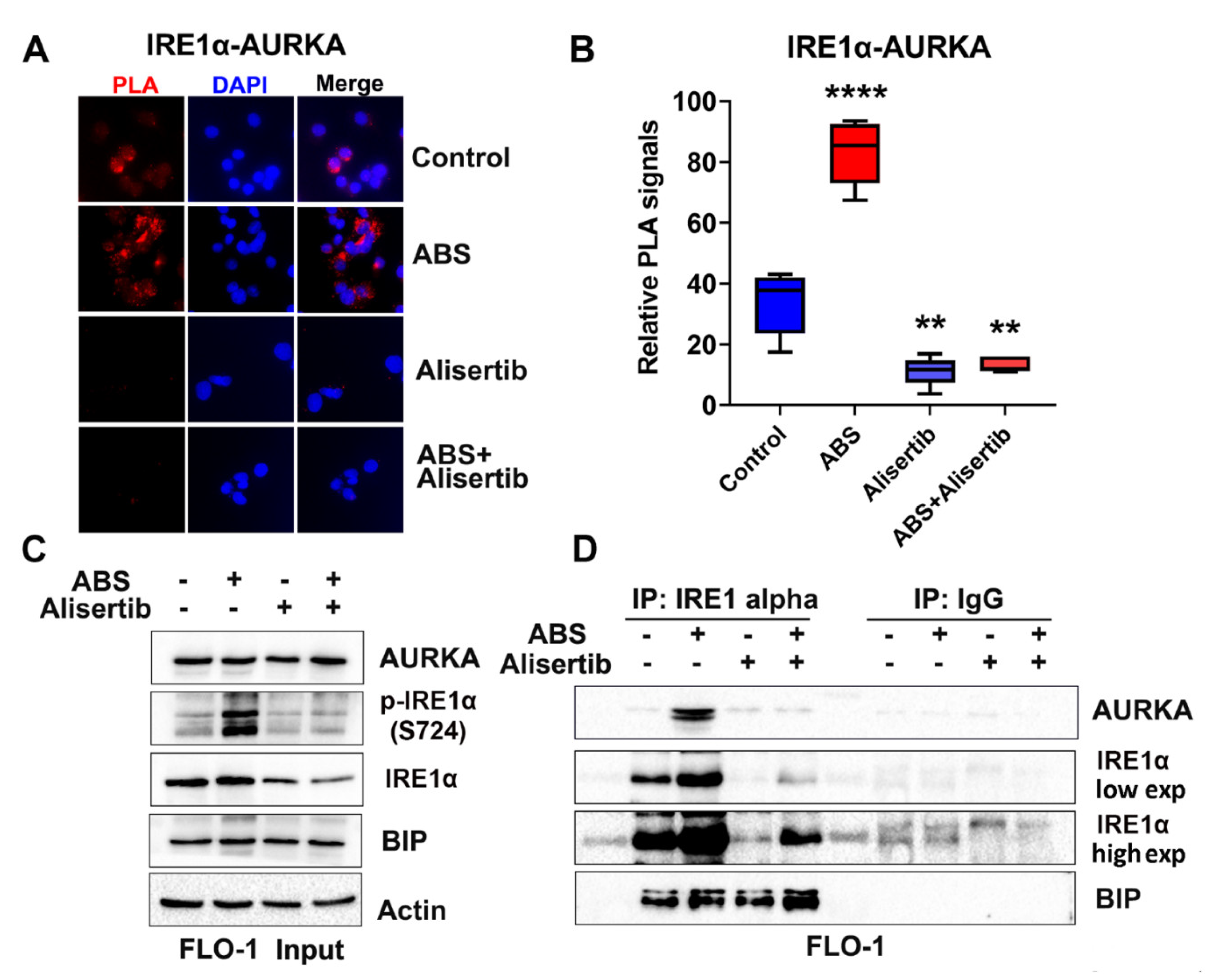 Cancers 14 01401 g005