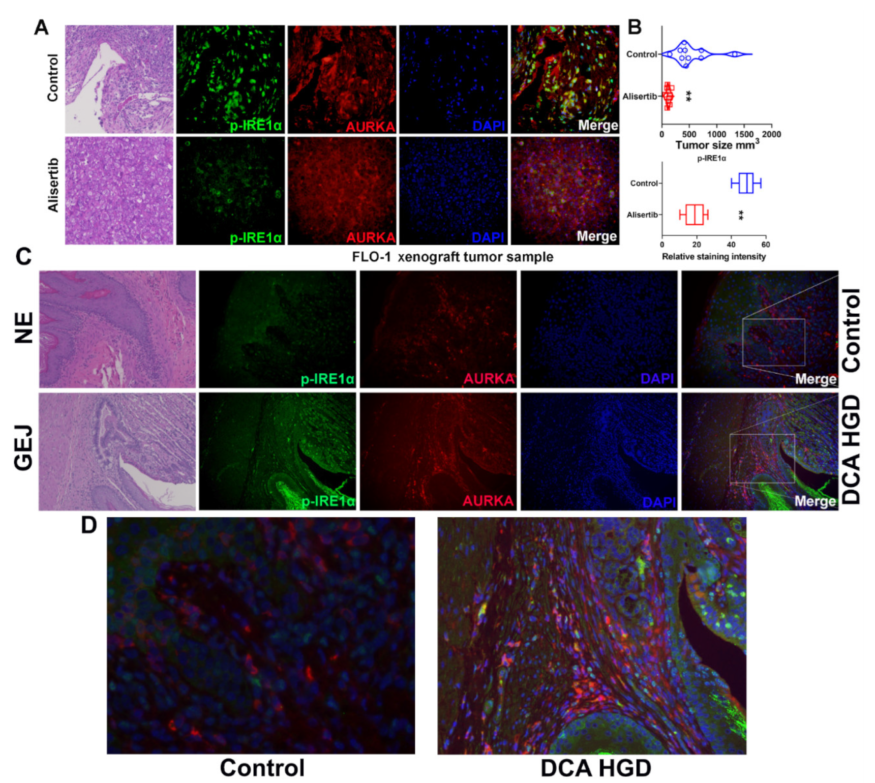 Cancers 14 01401 g007