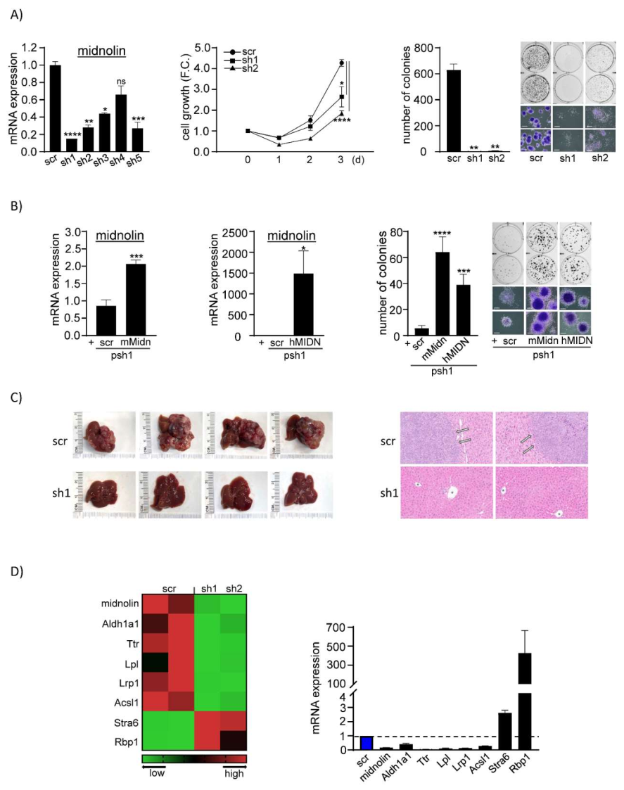 Cancers 14 01421 g001