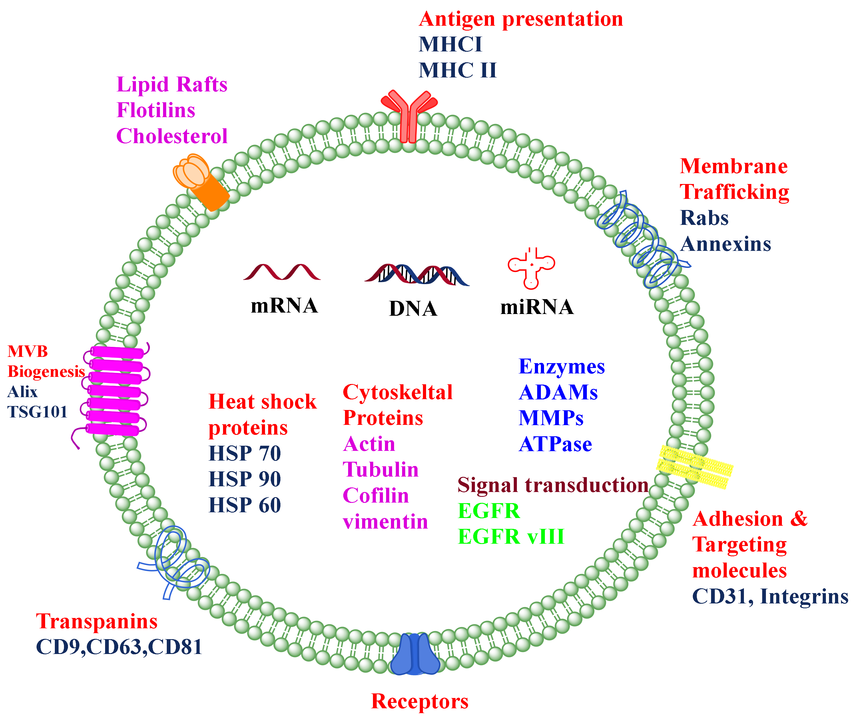Cancers 14 01435 g001 550