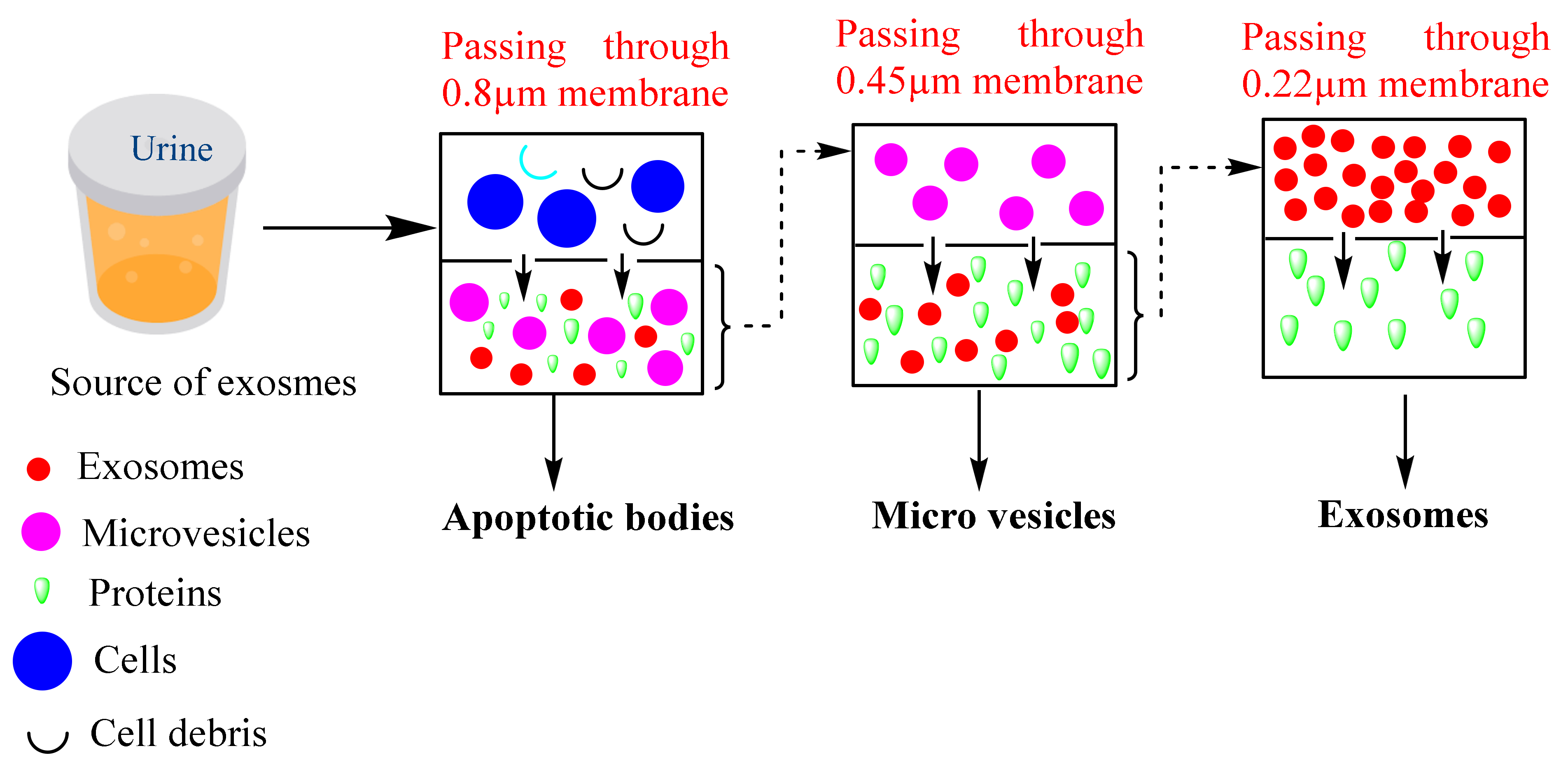 Cancers 14 01435 g004 550