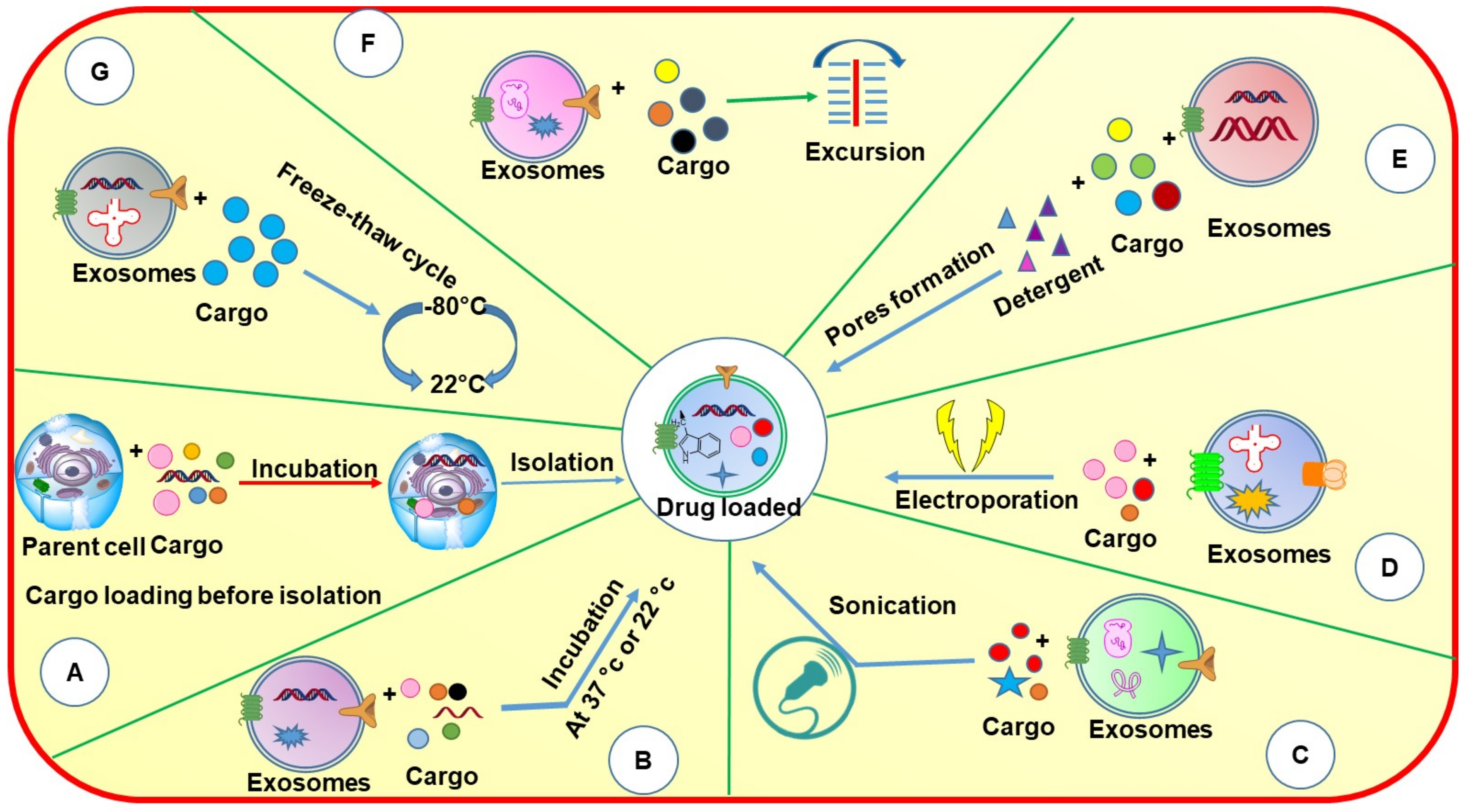 Cancers 14 01435 g005 550