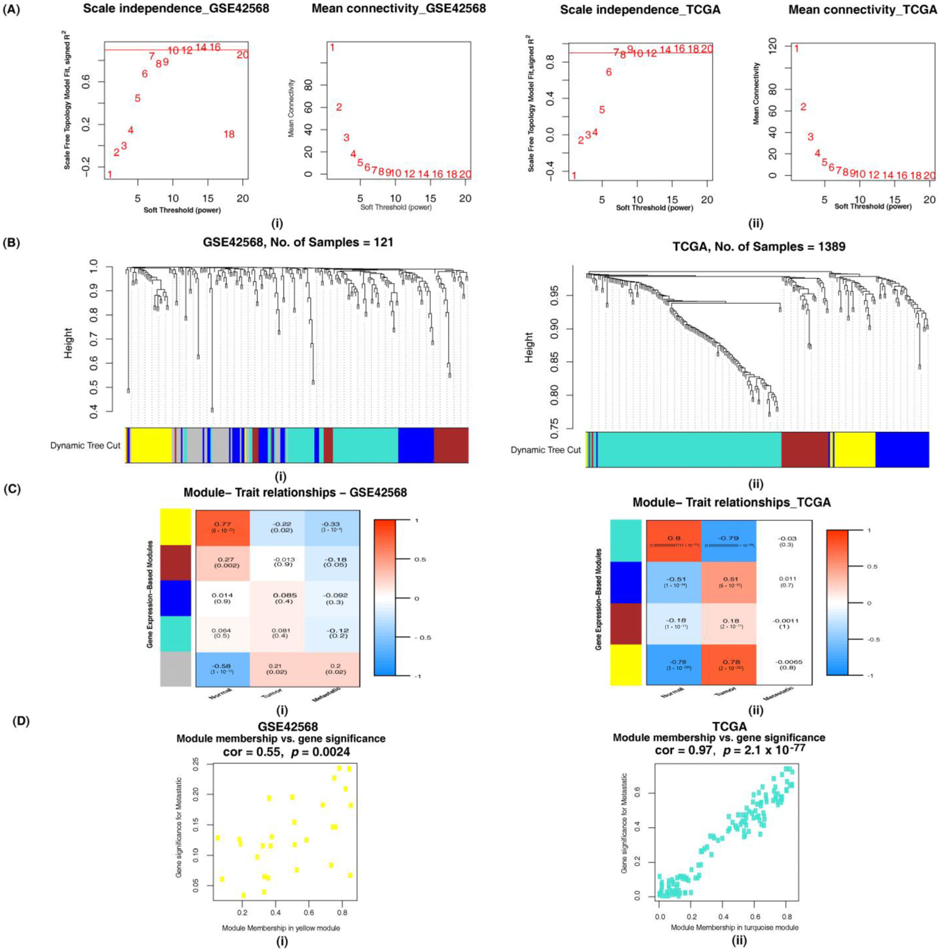 Cancers 14 01444 g003