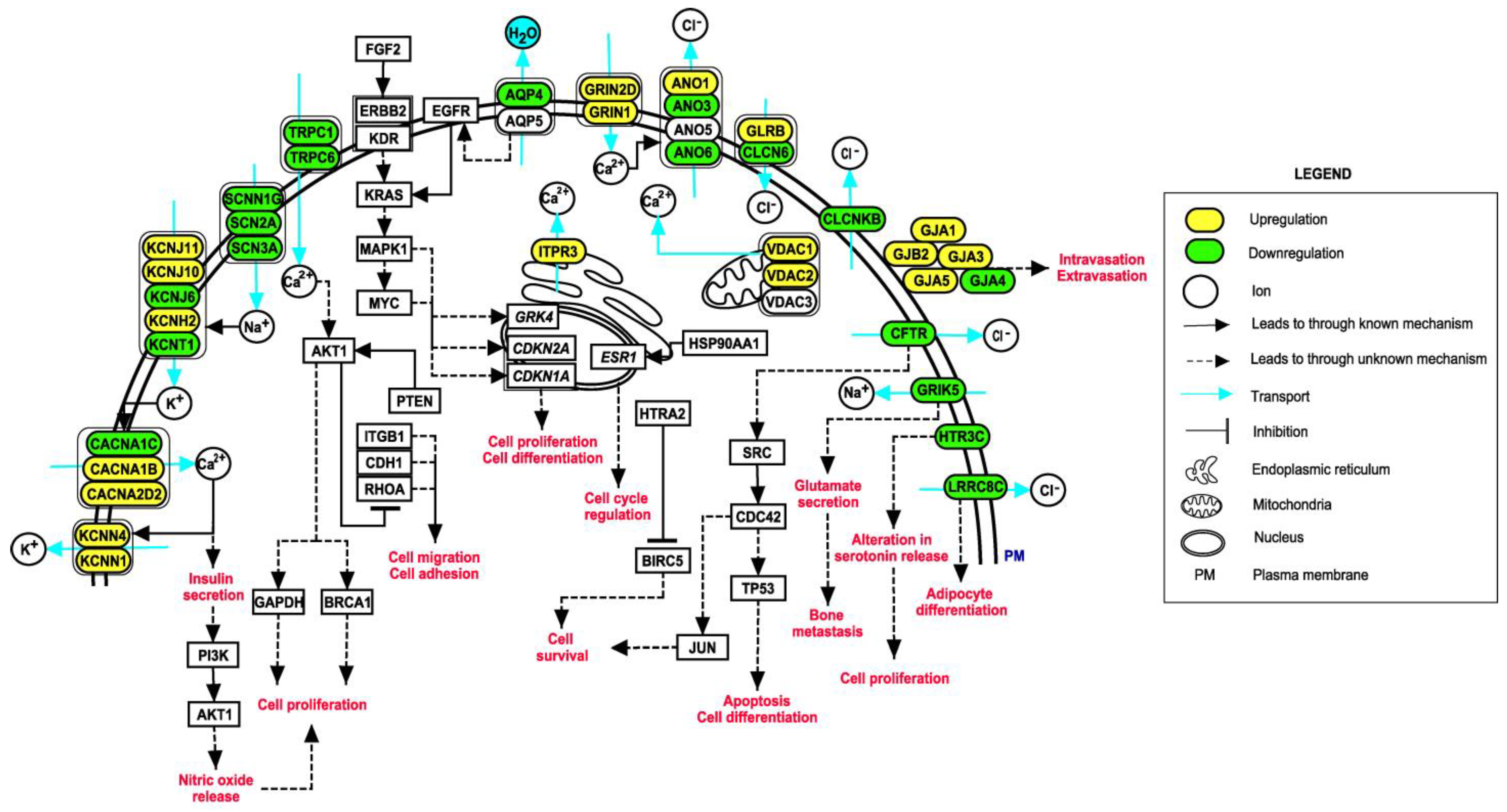 Cancers 14 01444 g007