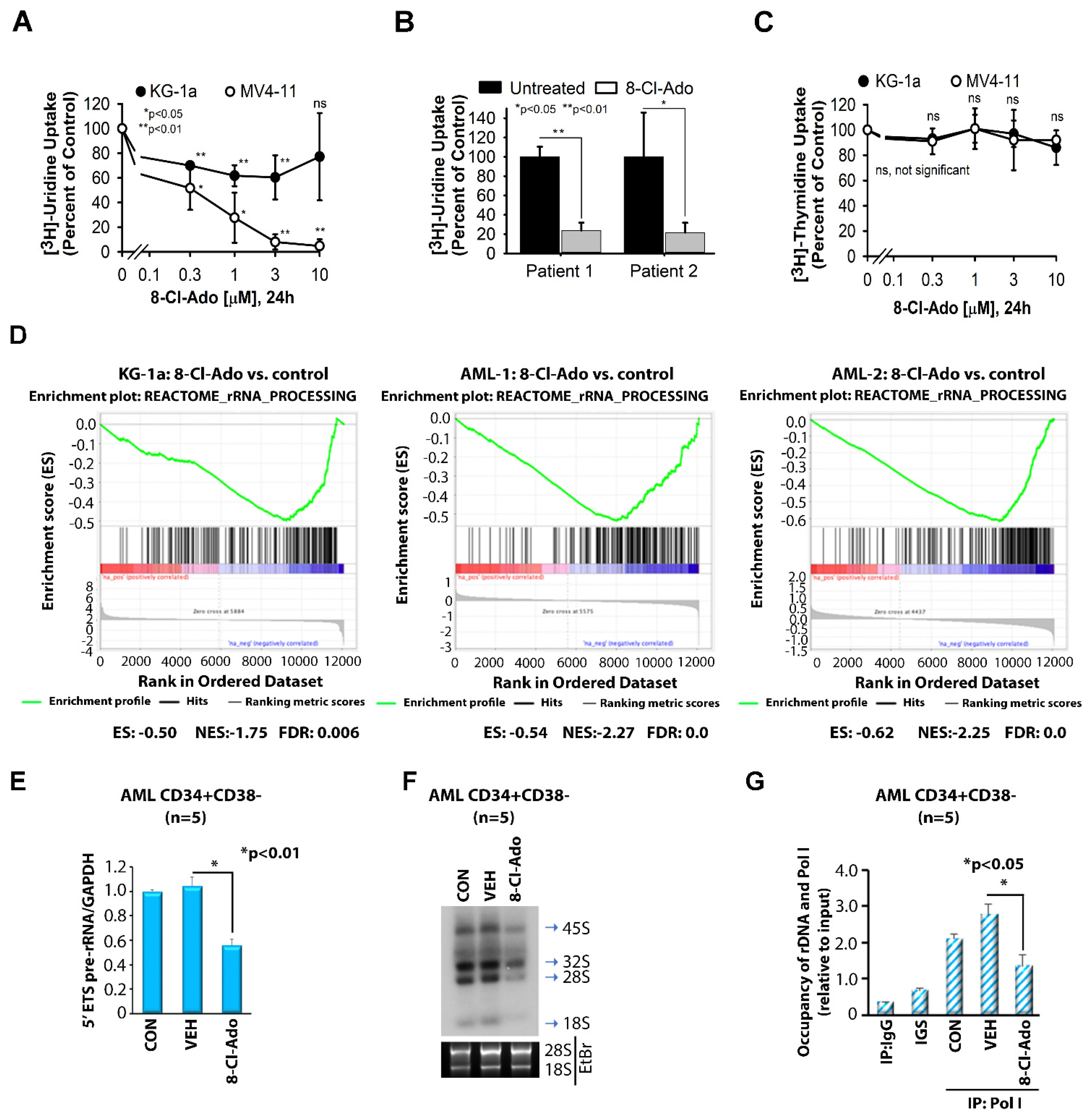 Cancers 14 01446 g001 550