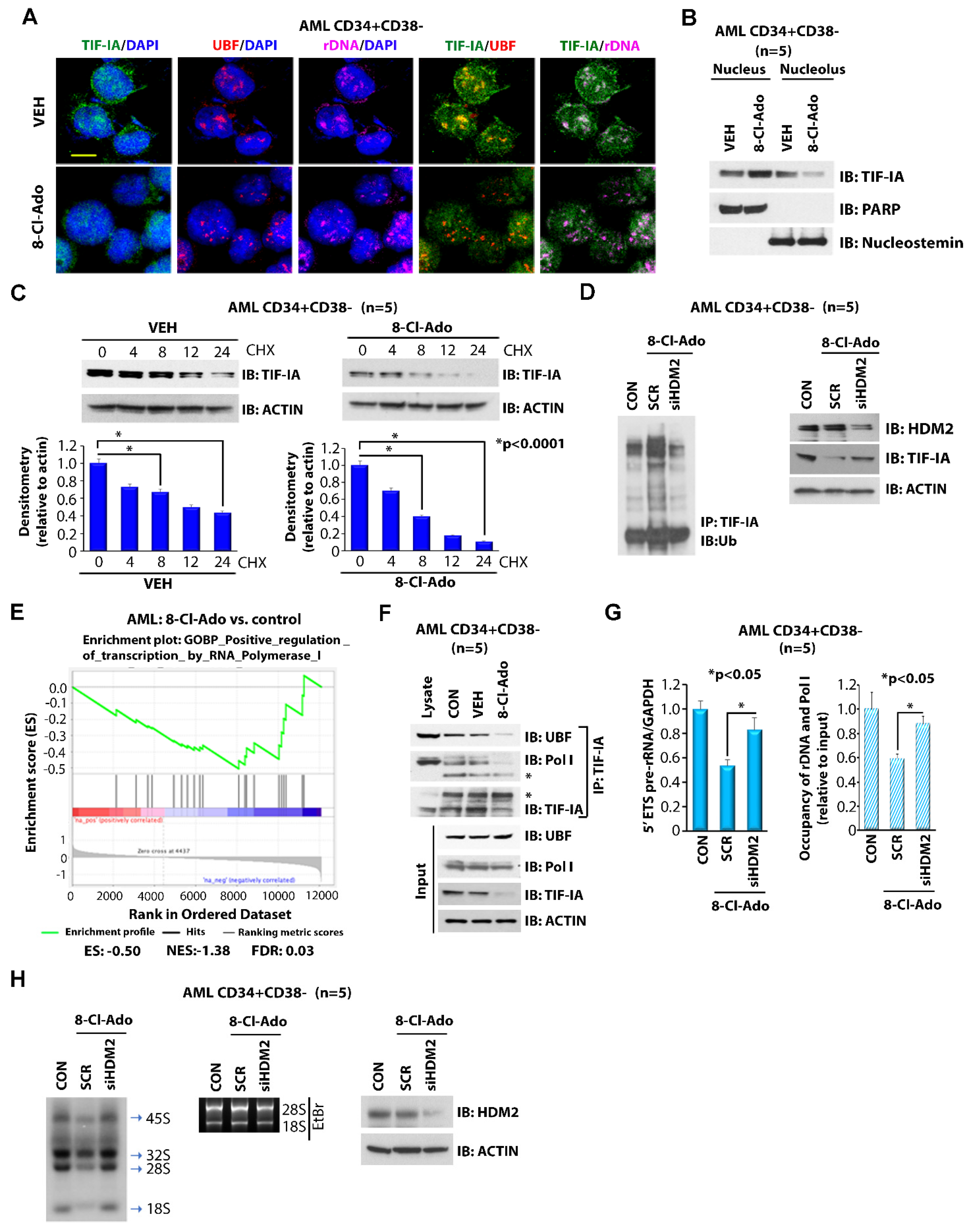 Cancers 14 01446 g002 550