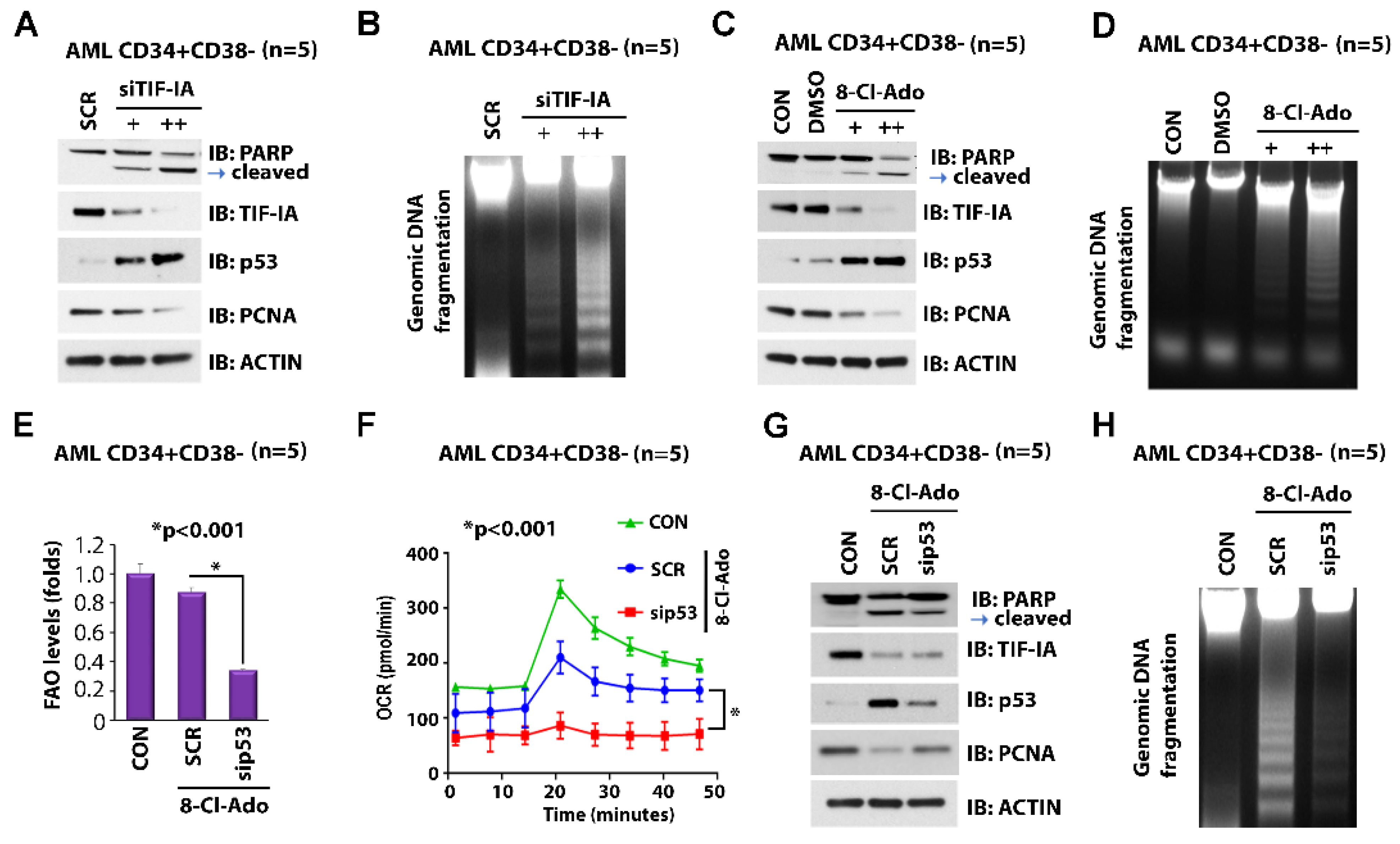 Cancers 14 01446 g003 550