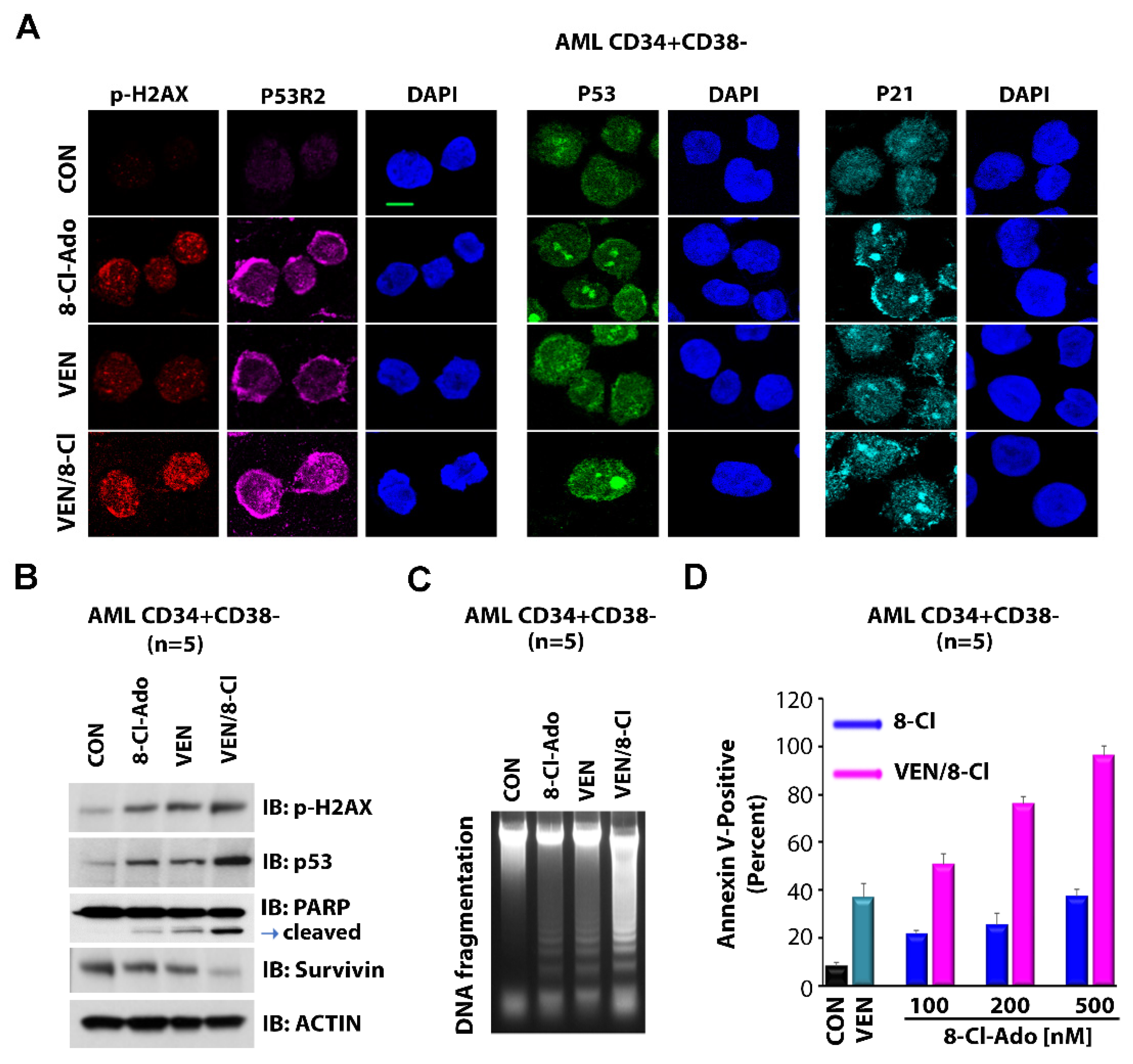 Cancers 14 01446 g005 550