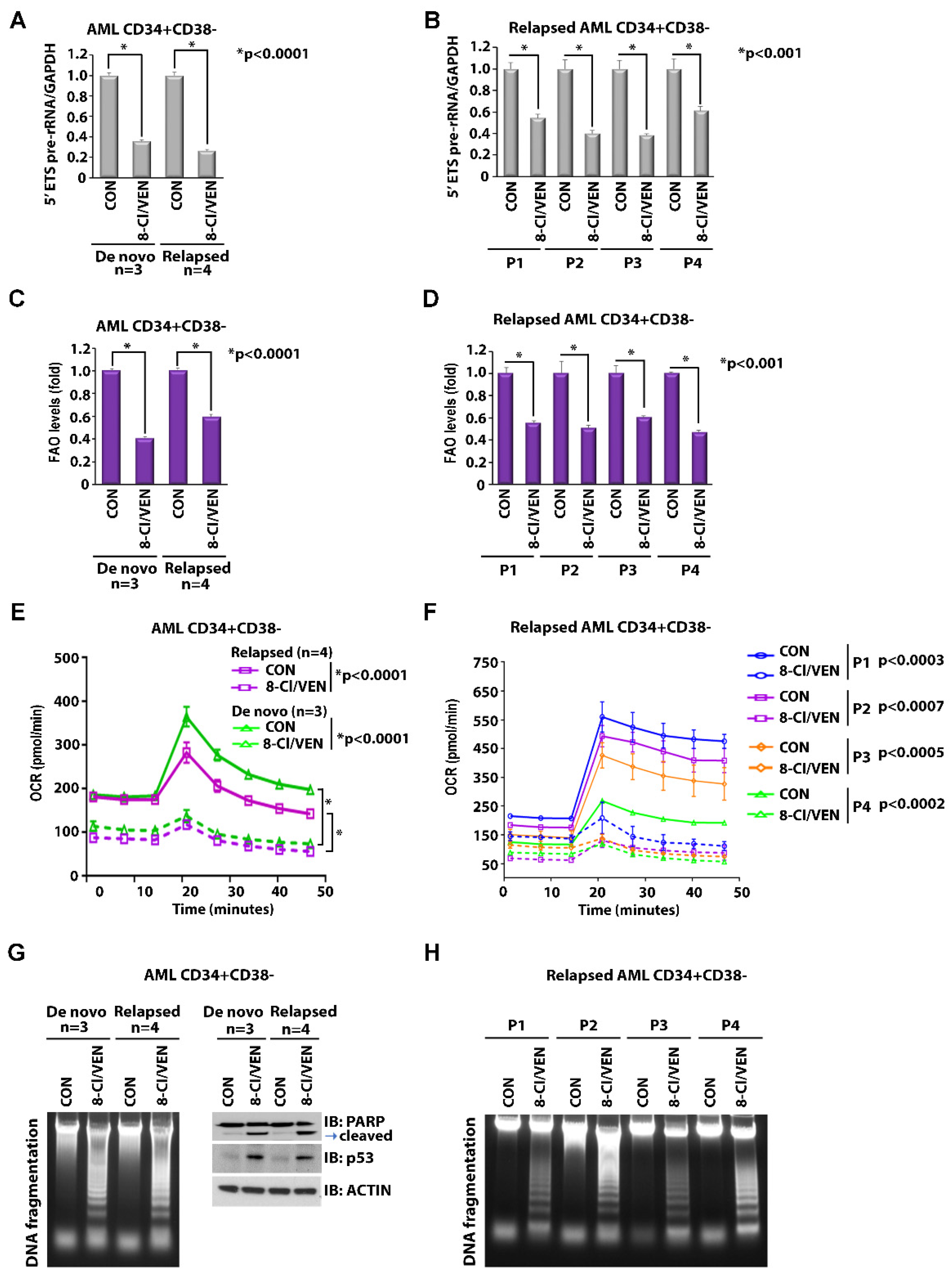 Cancers 14 01446 g006 550