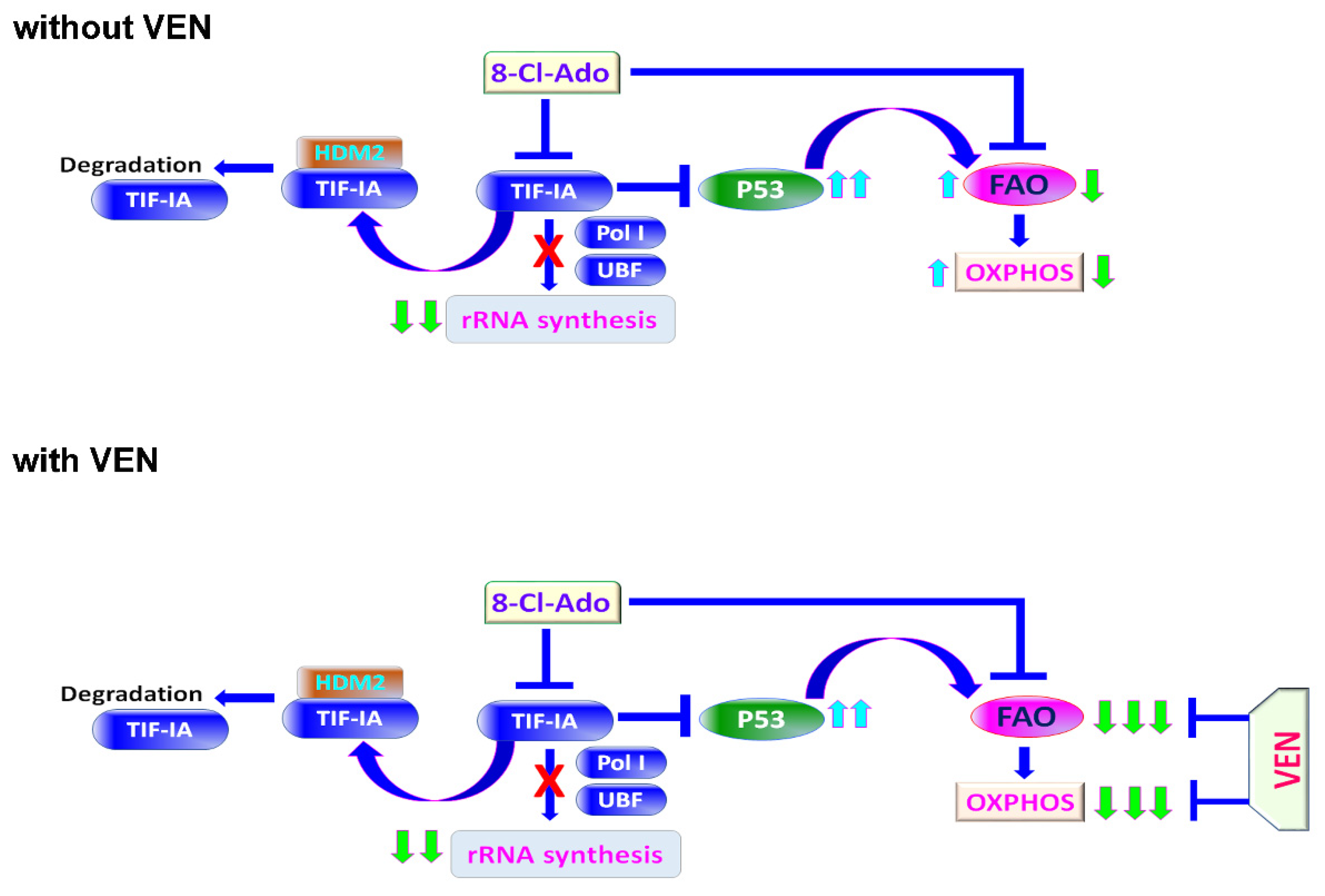 Cancers 14 01446 g007 550