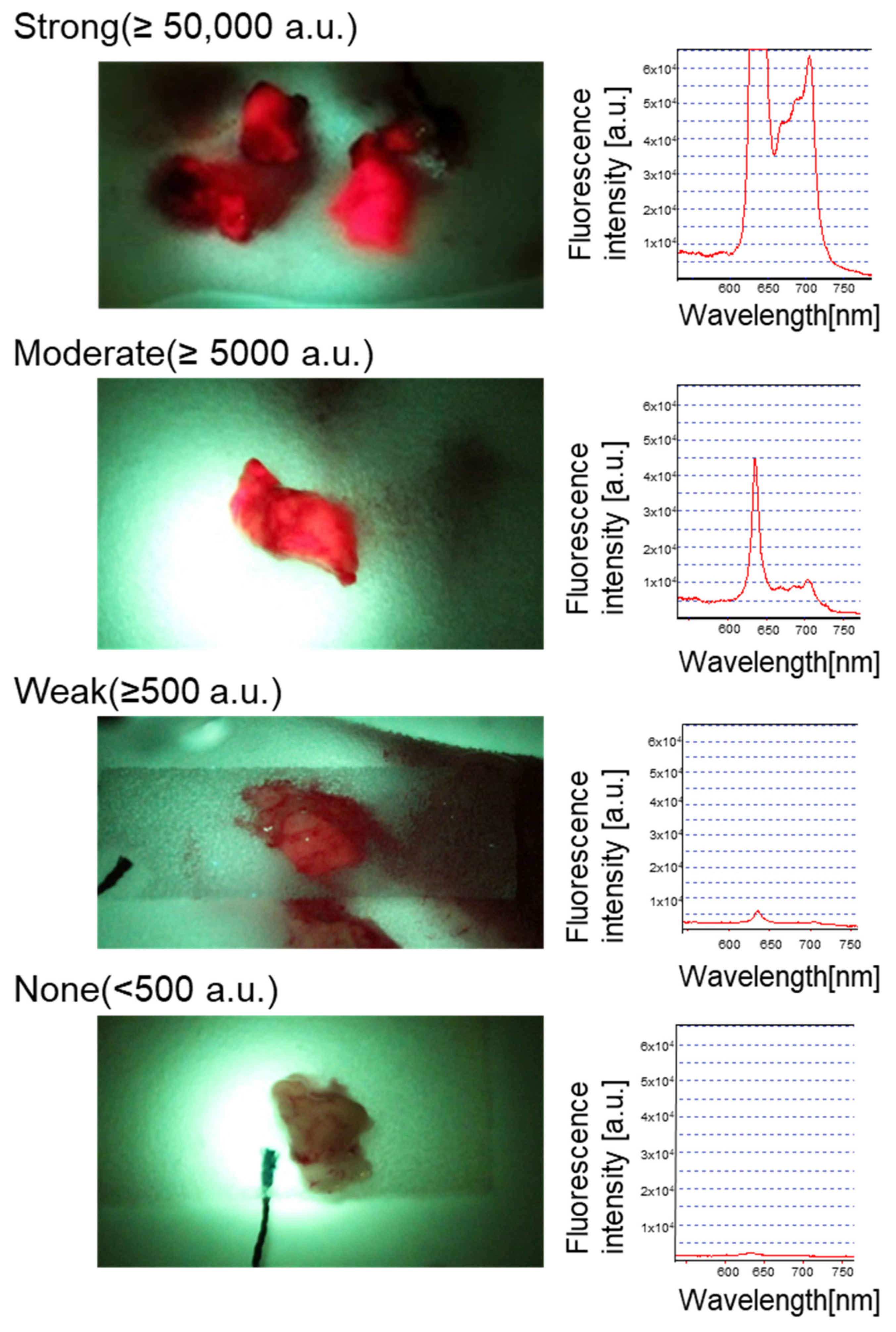 Cancers 14 01449 g001