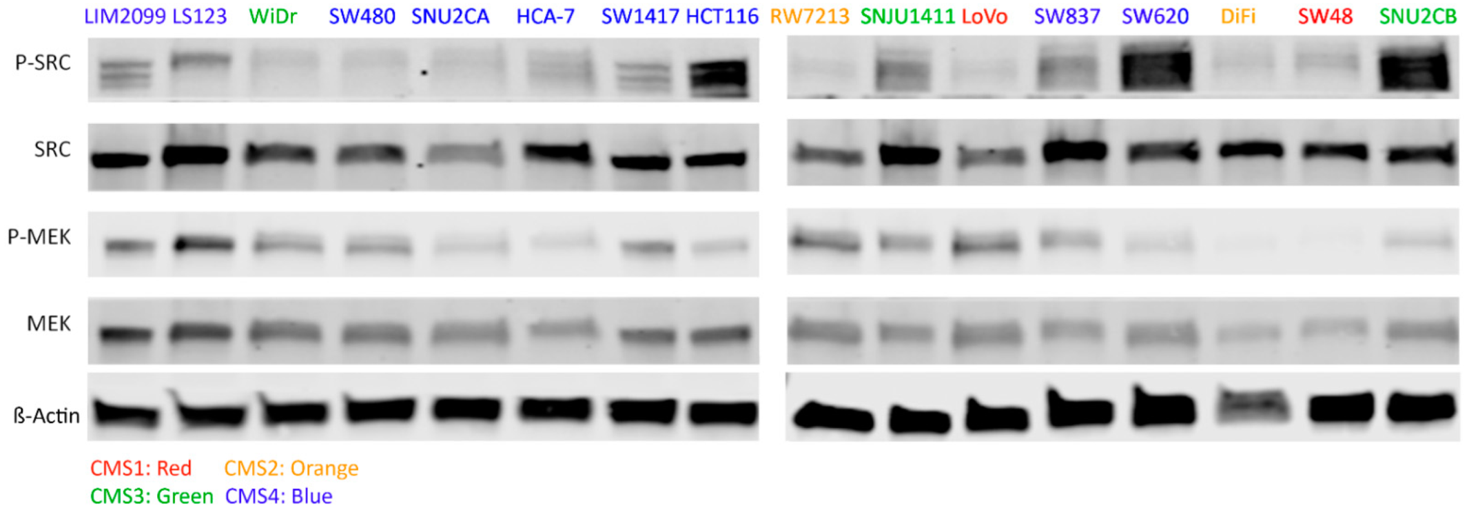 Cancers 14 01451 g001 550