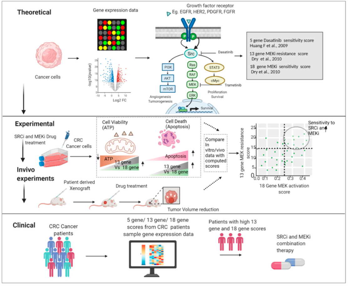 Cancers 14 01451 g011 550