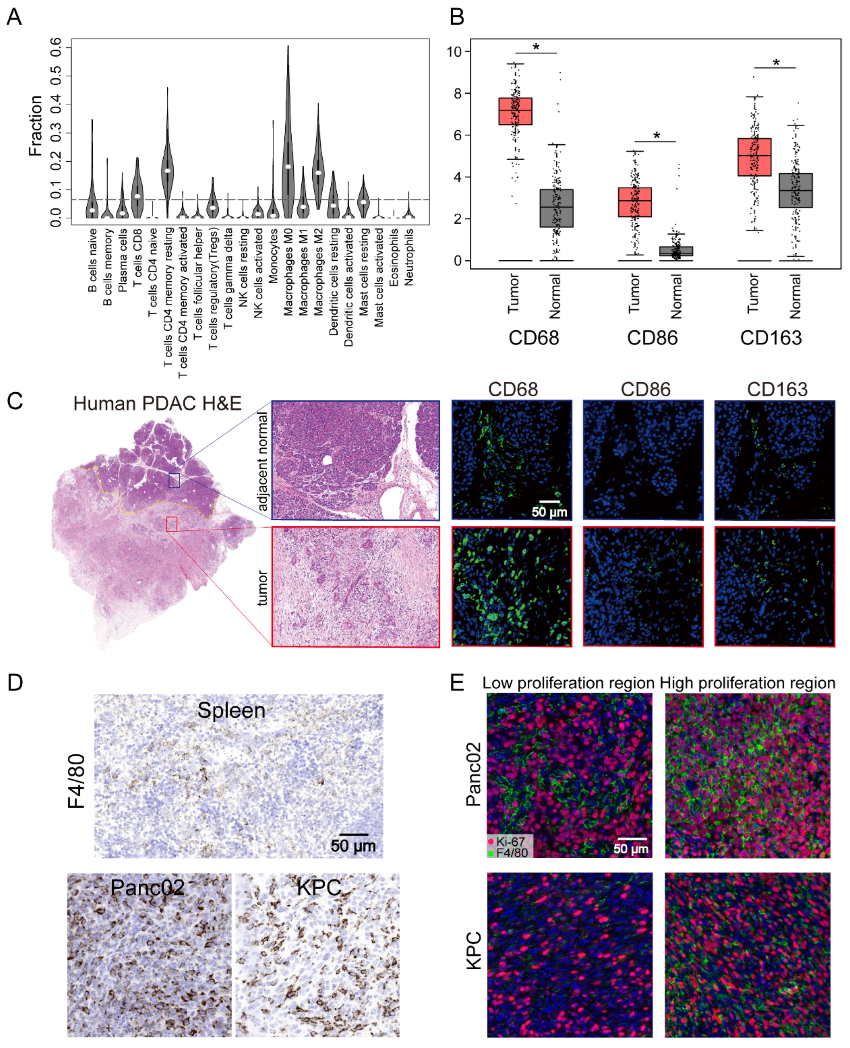 Cancers 14 01474 g001 550