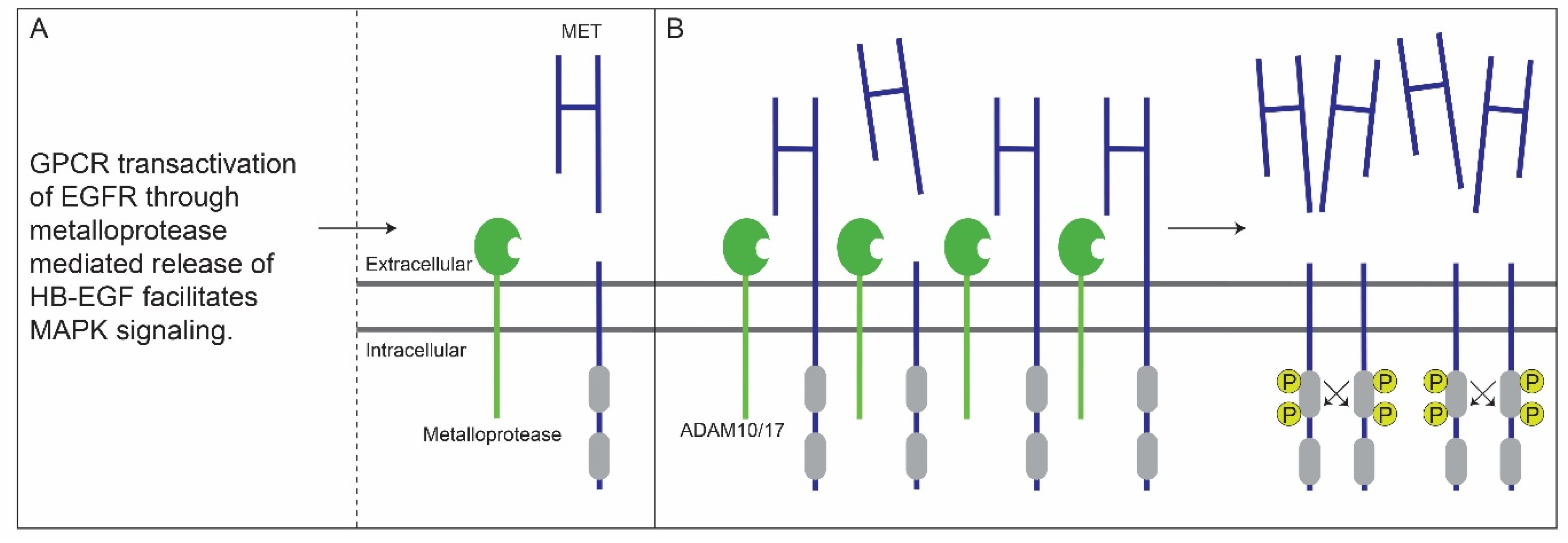 Cancers 14 01491 g002