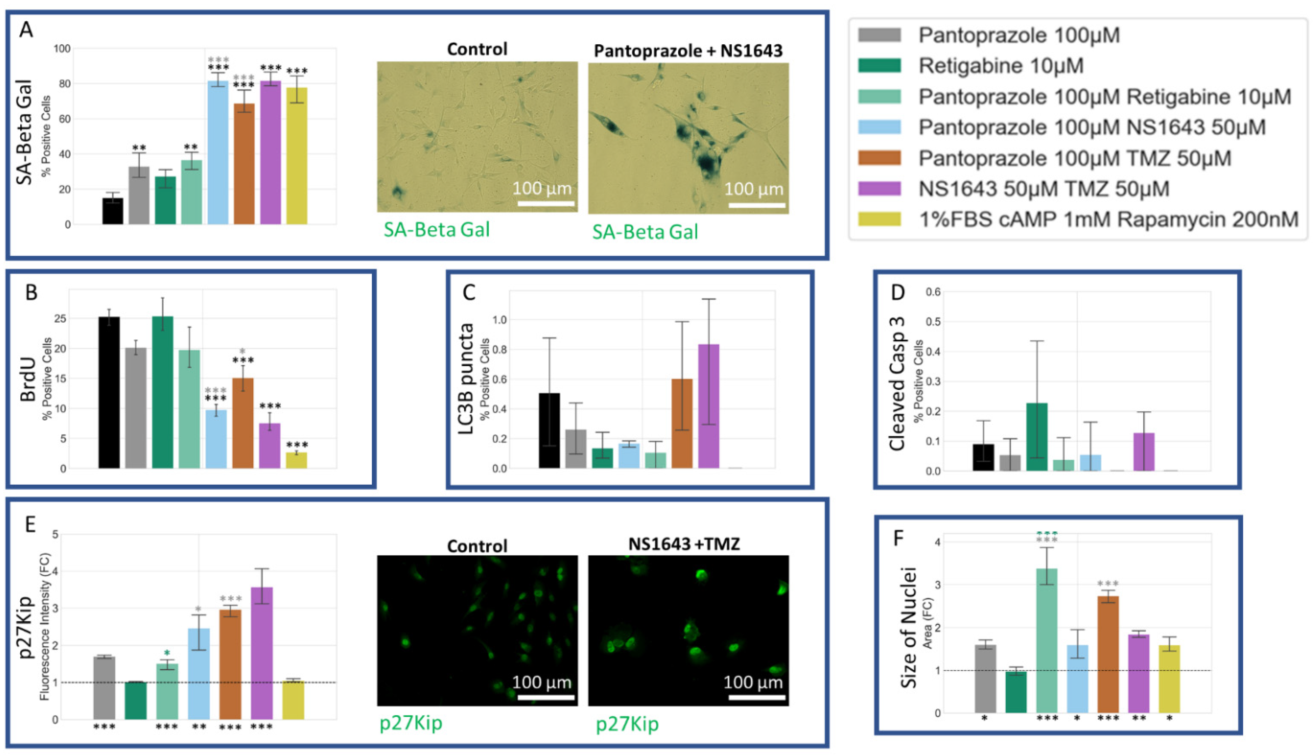 Cancers 14 01499 g014