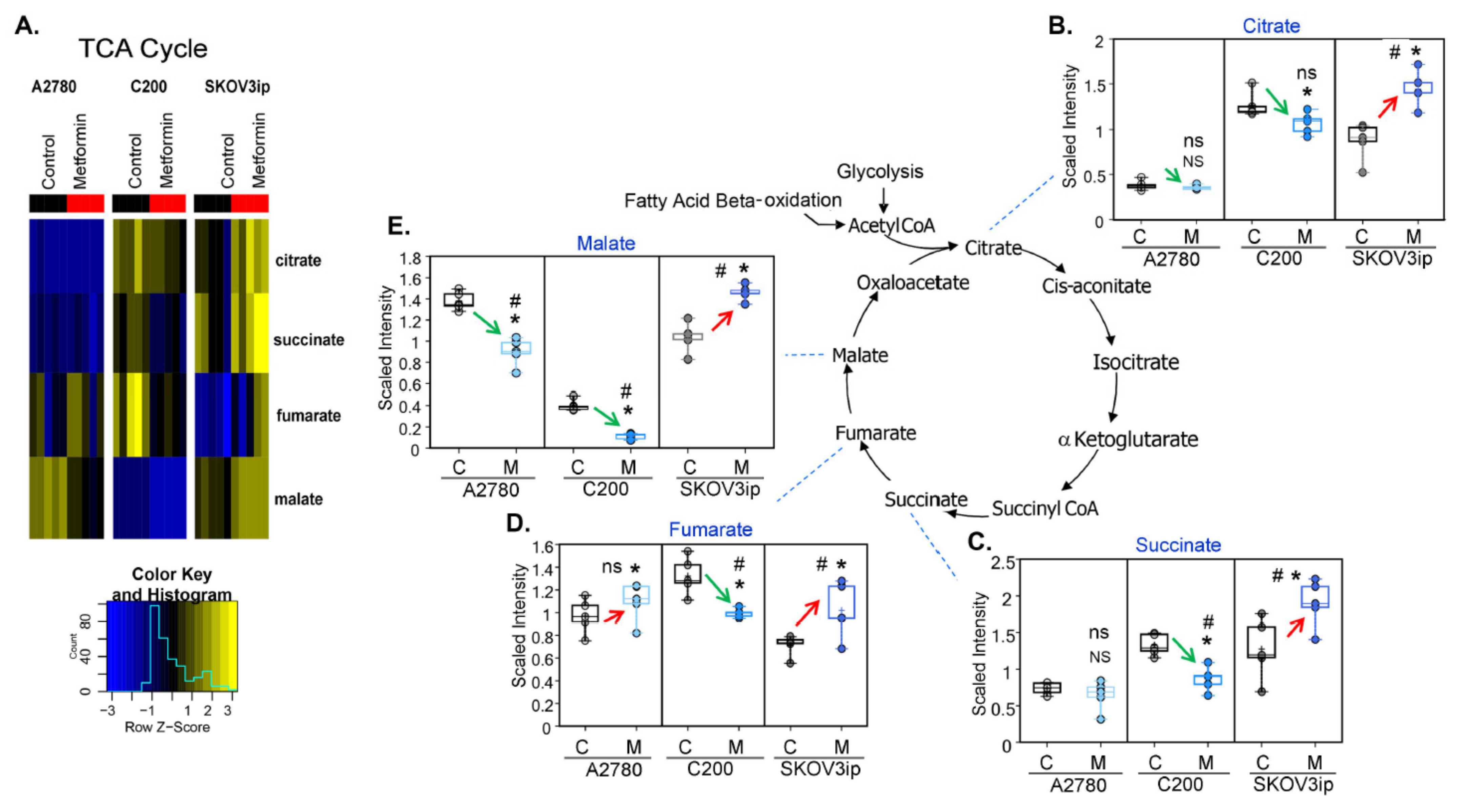 Cancers 14 01504 g003