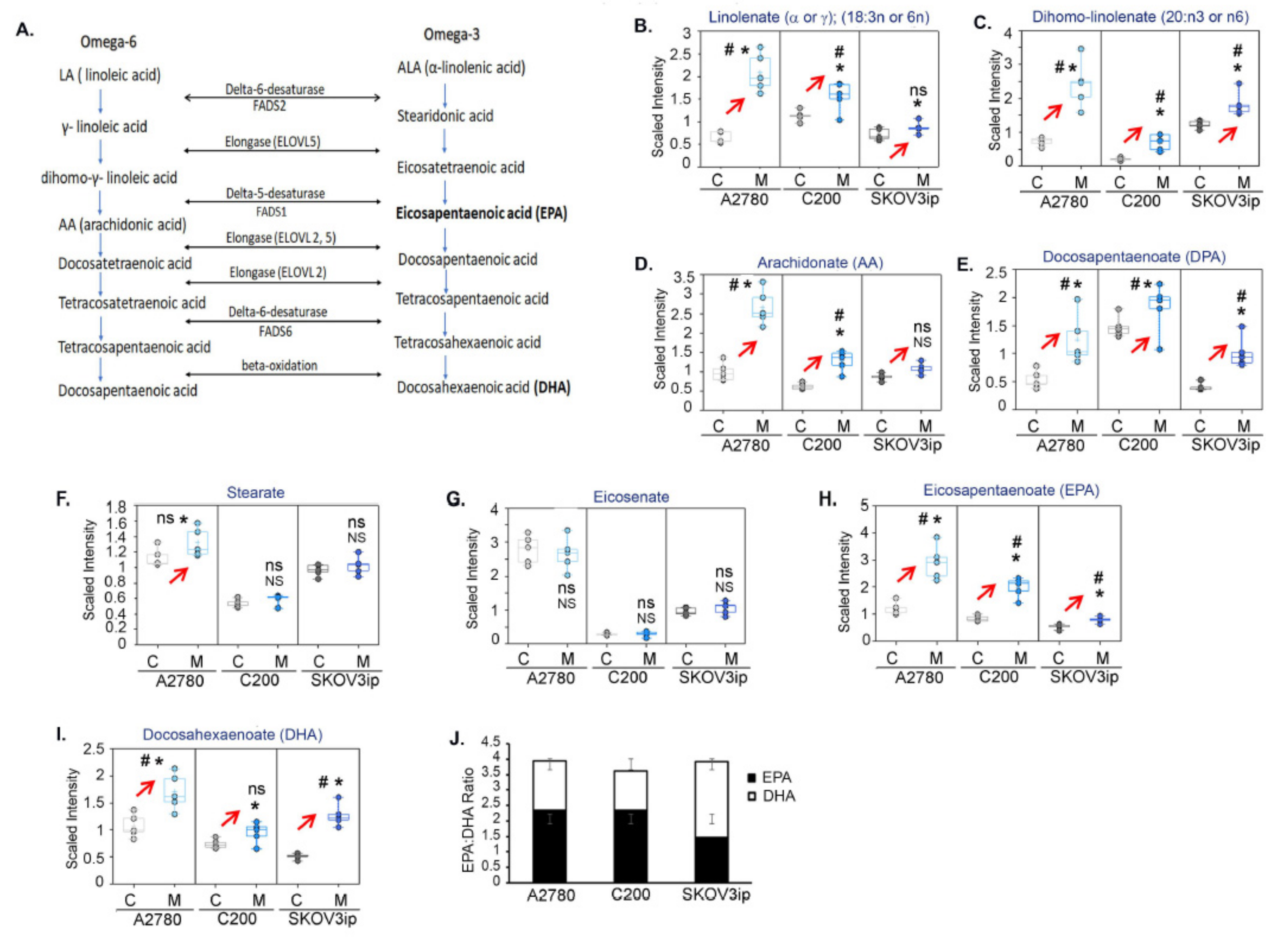 Cancers 14 01504 g006