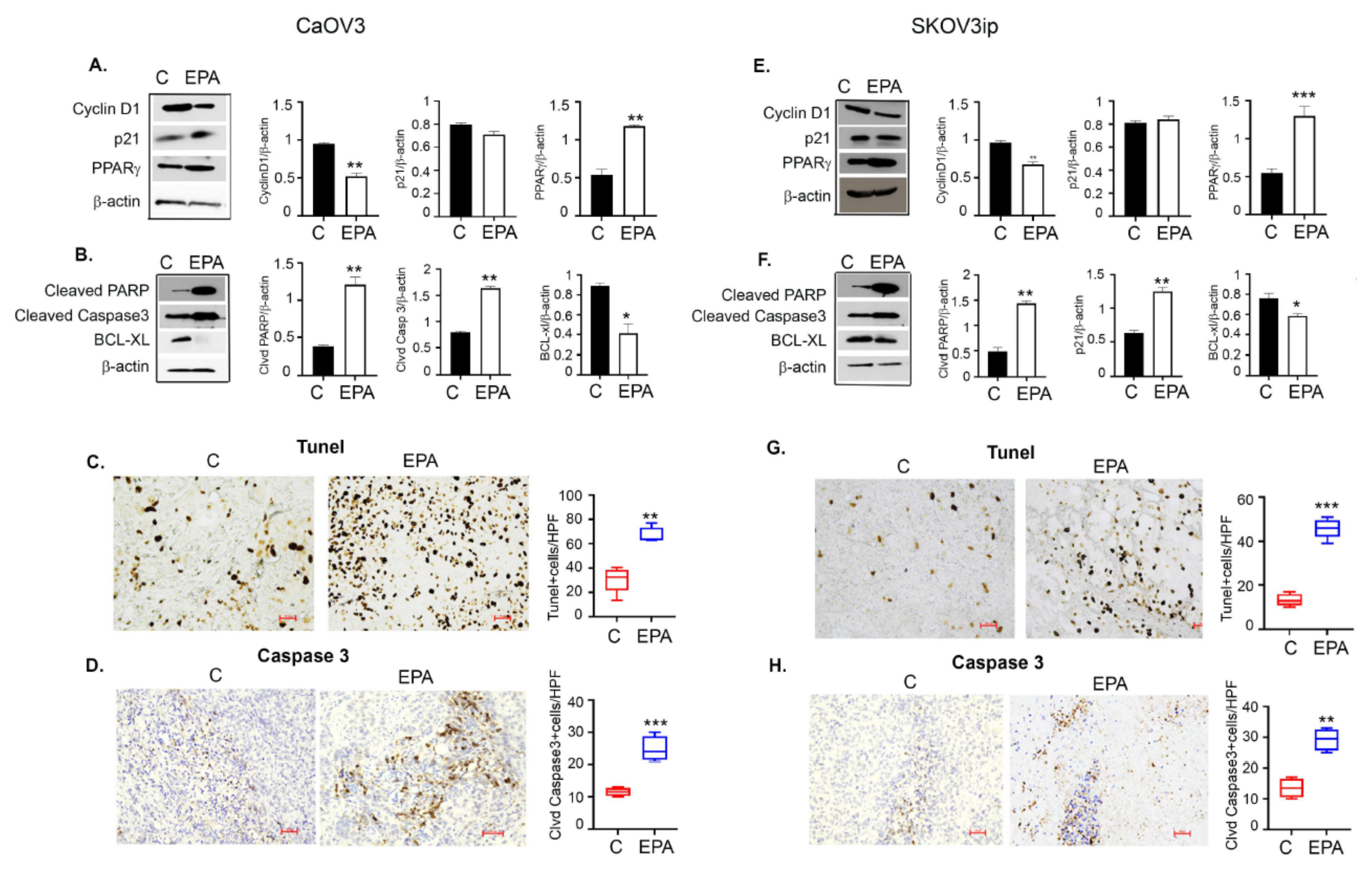 Cancers 14 01504 g008