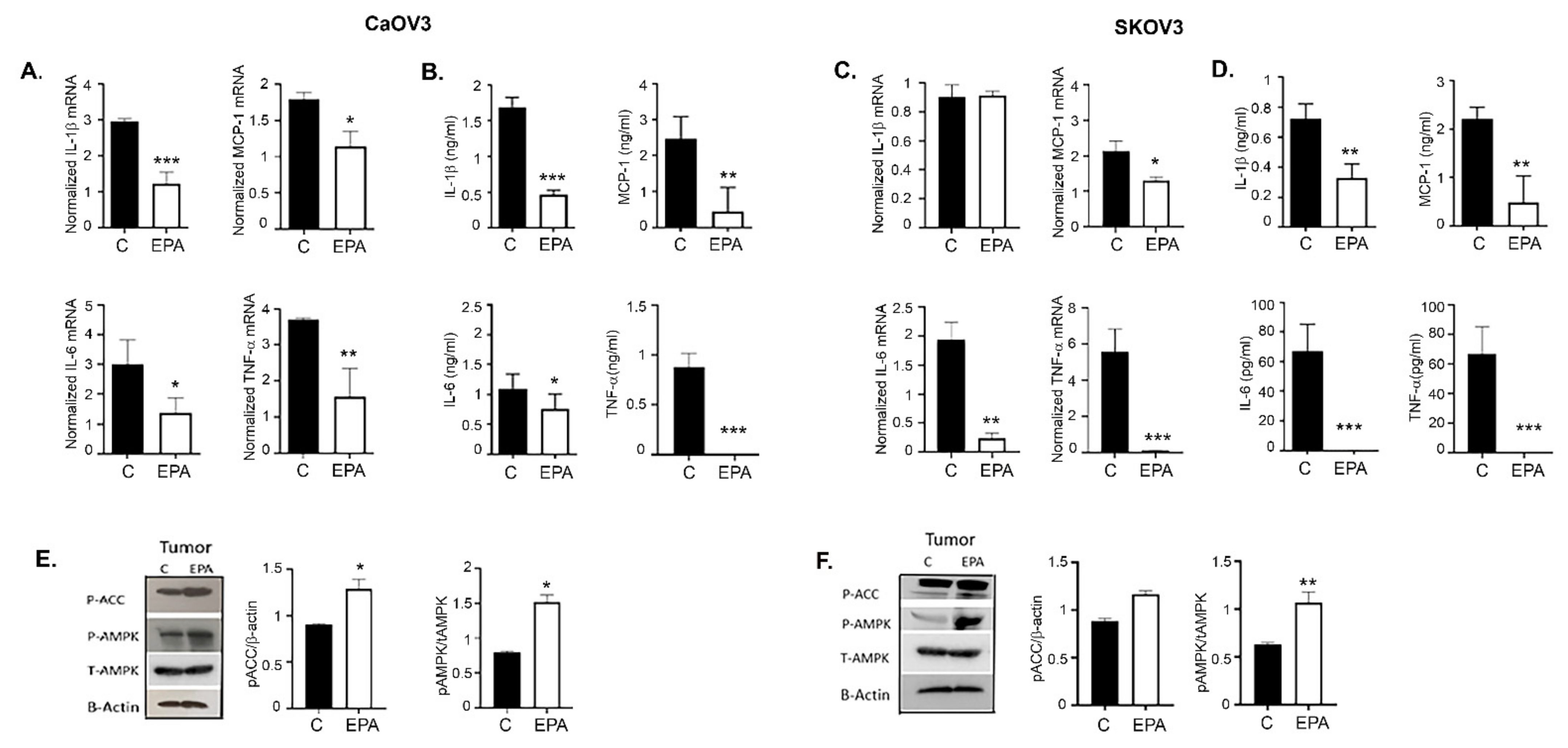 Cancers 14 01504 g009