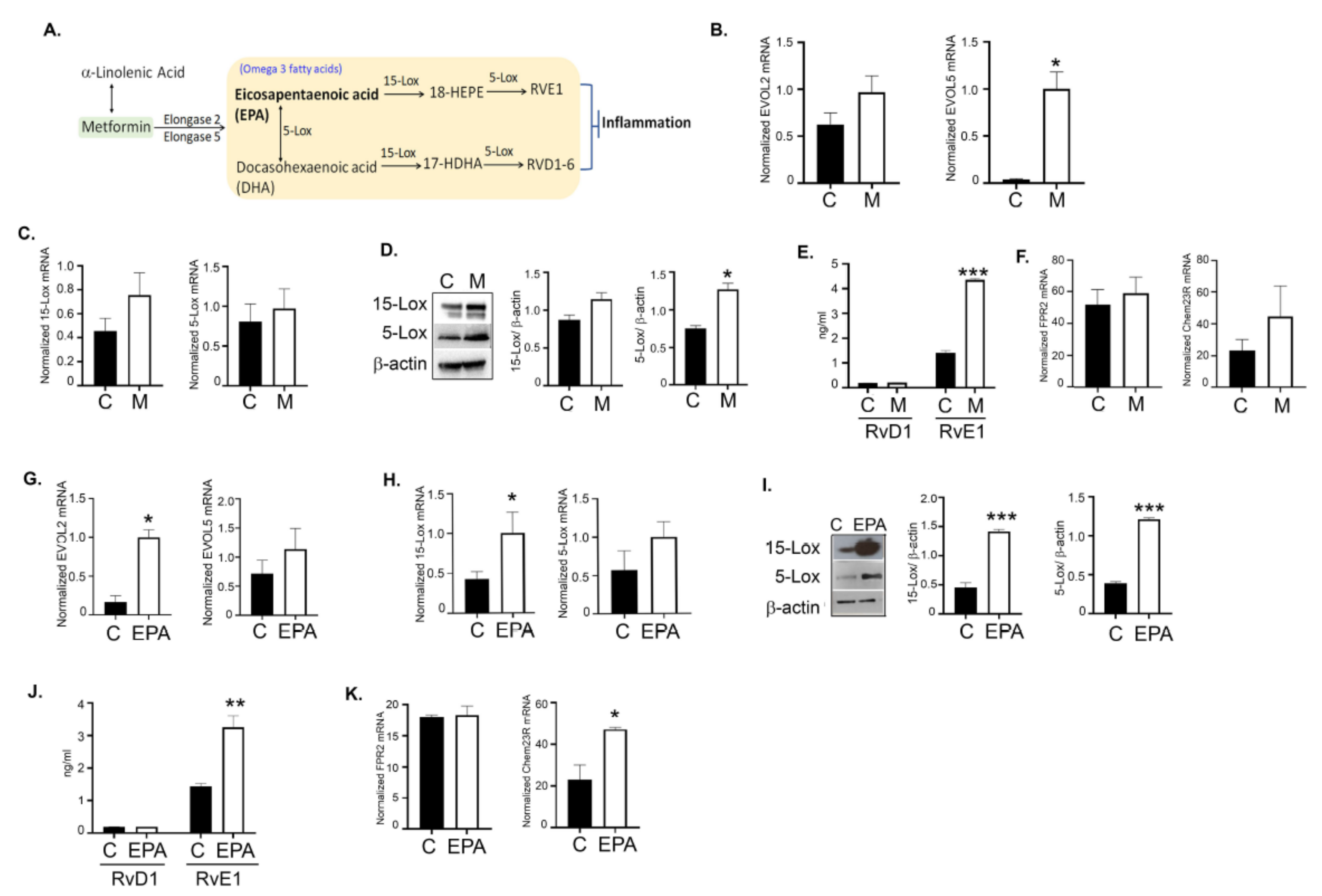Cancers 14 01504 g010