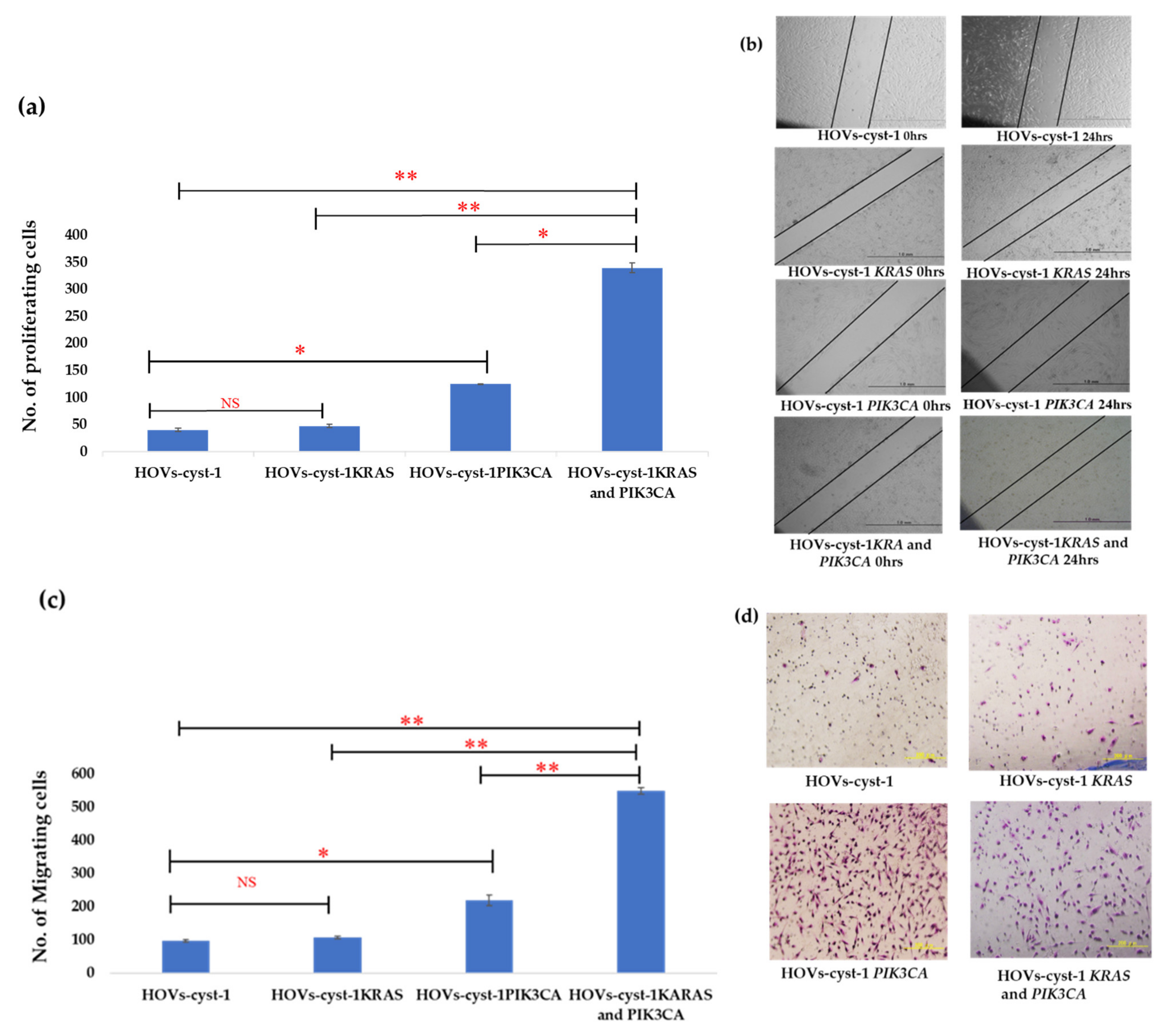Cancers 14 01506 g003a Cancers 14 01506 g003a