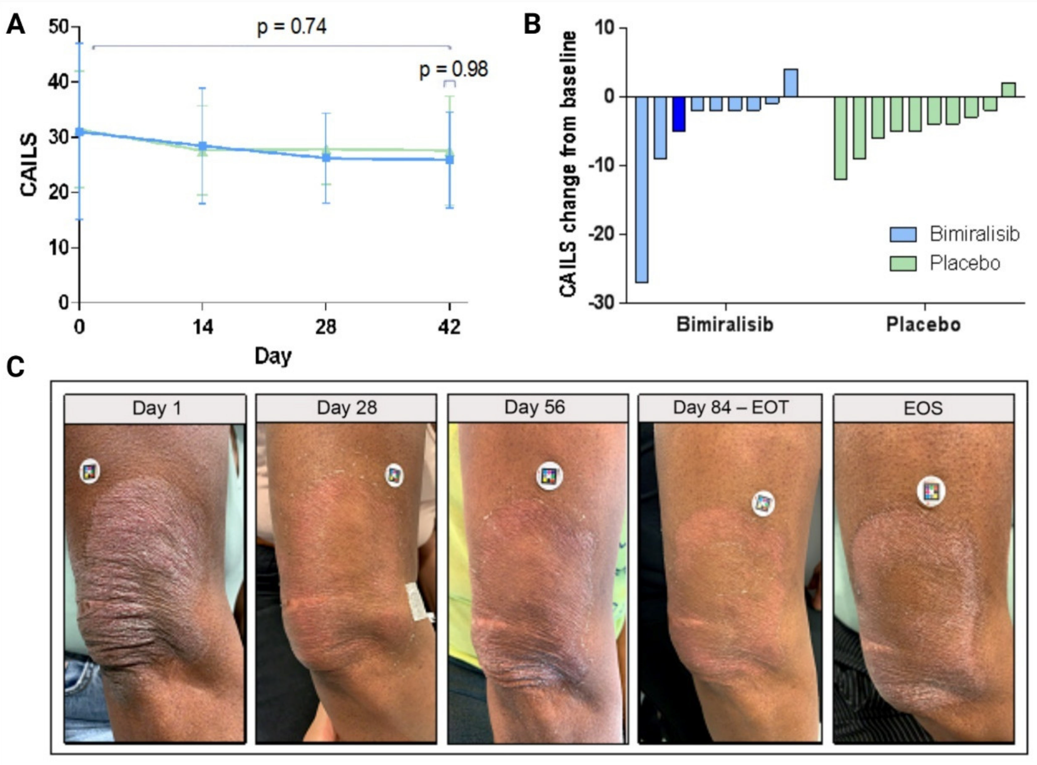 Cancers 14 01510 g003