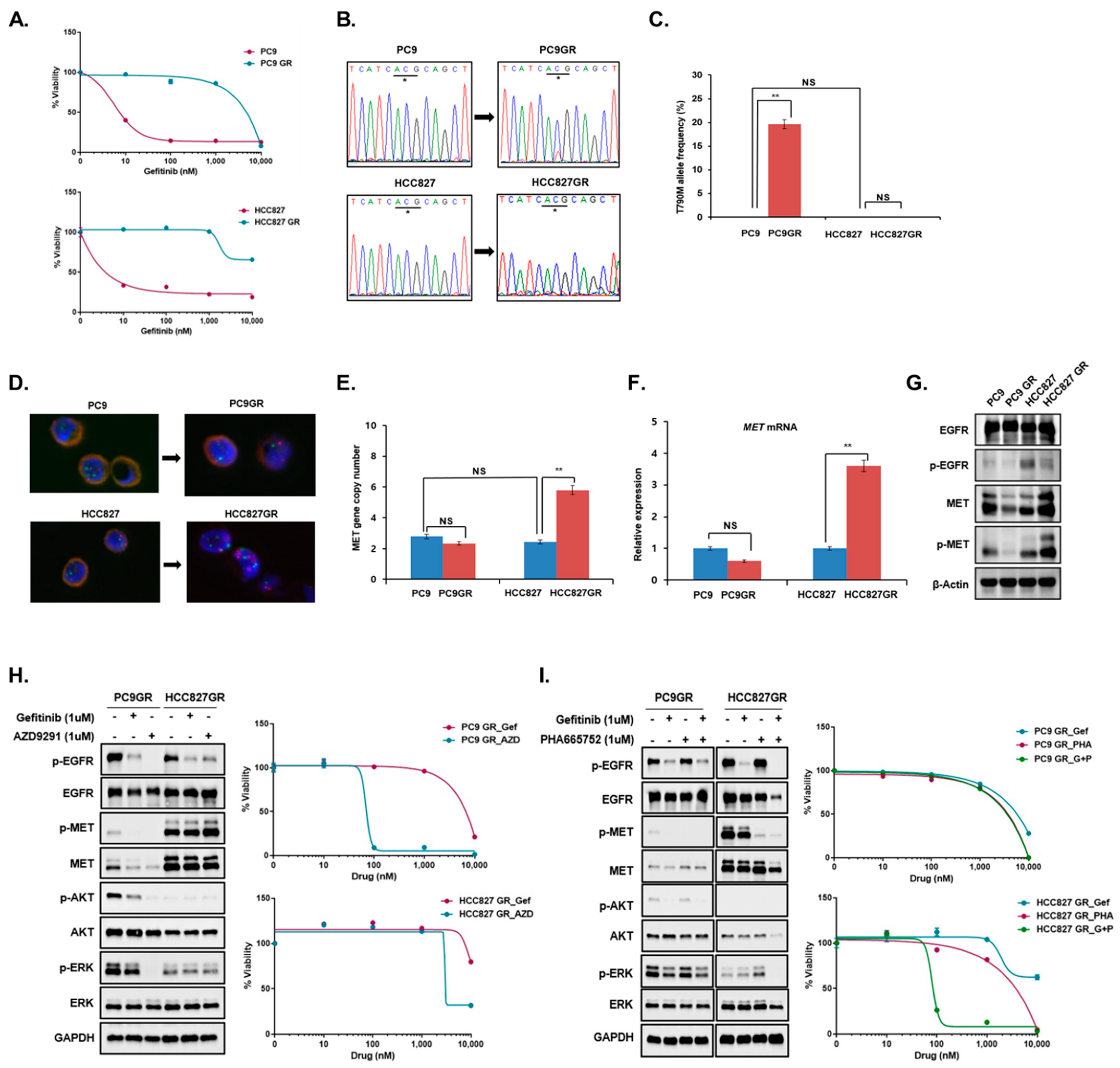 Cancers 14 01512 g001 550