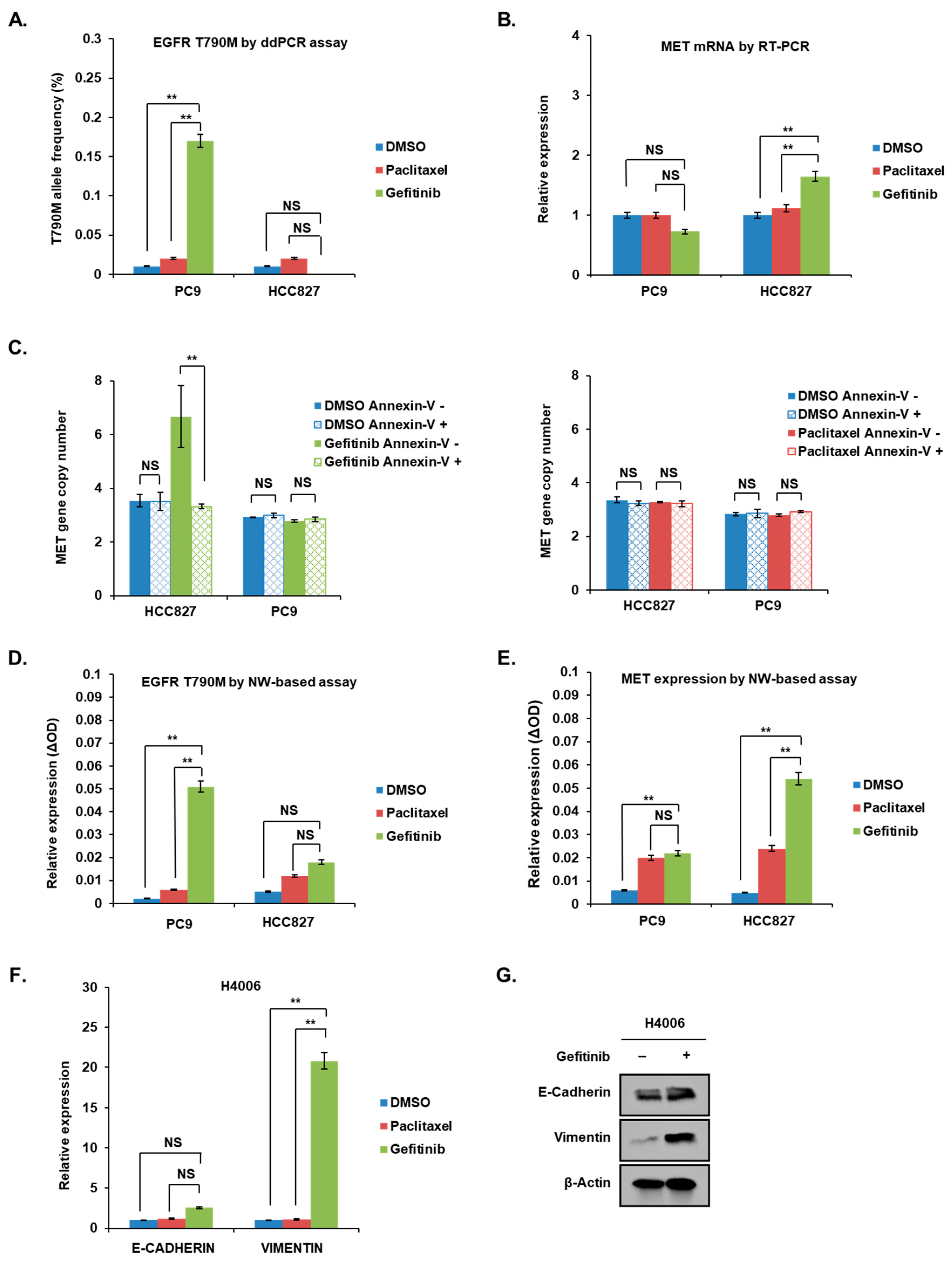 Cancers 14 01512 g003 550