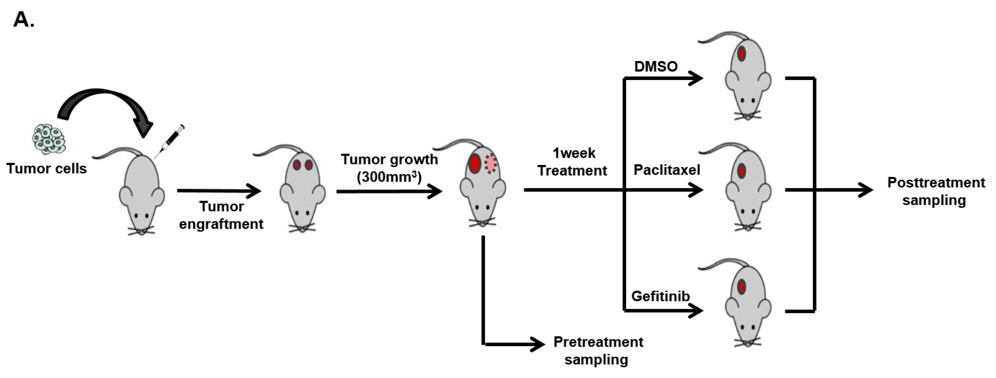 Cancers 14 01512 g004a 550