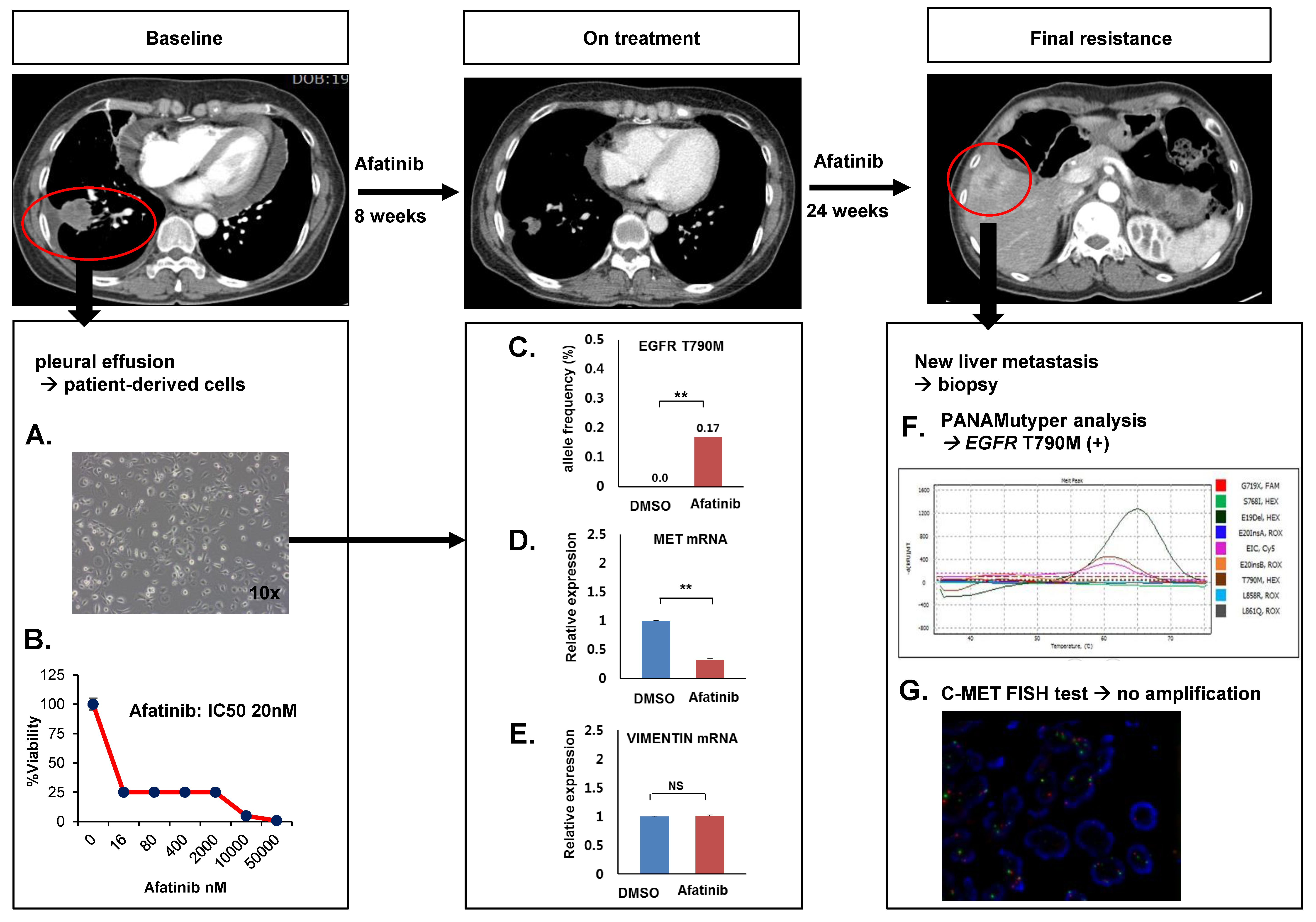 Cancers 14 01512 g005 550
