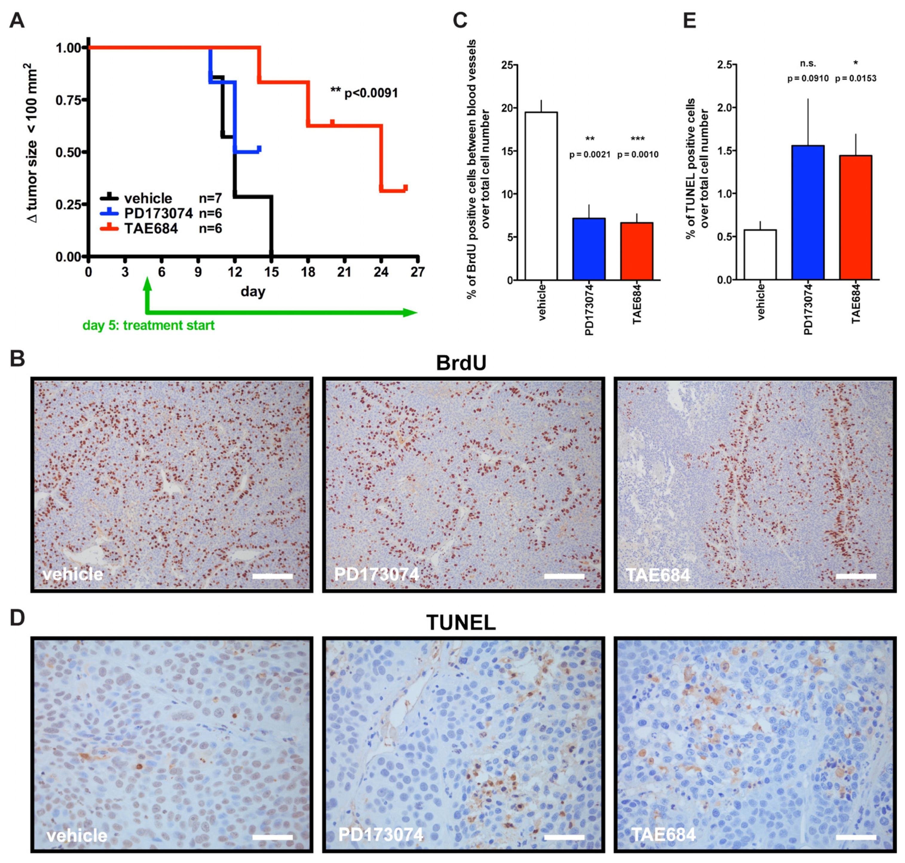 Cancers 14 01517 g006 Cancers 14 01517 g006