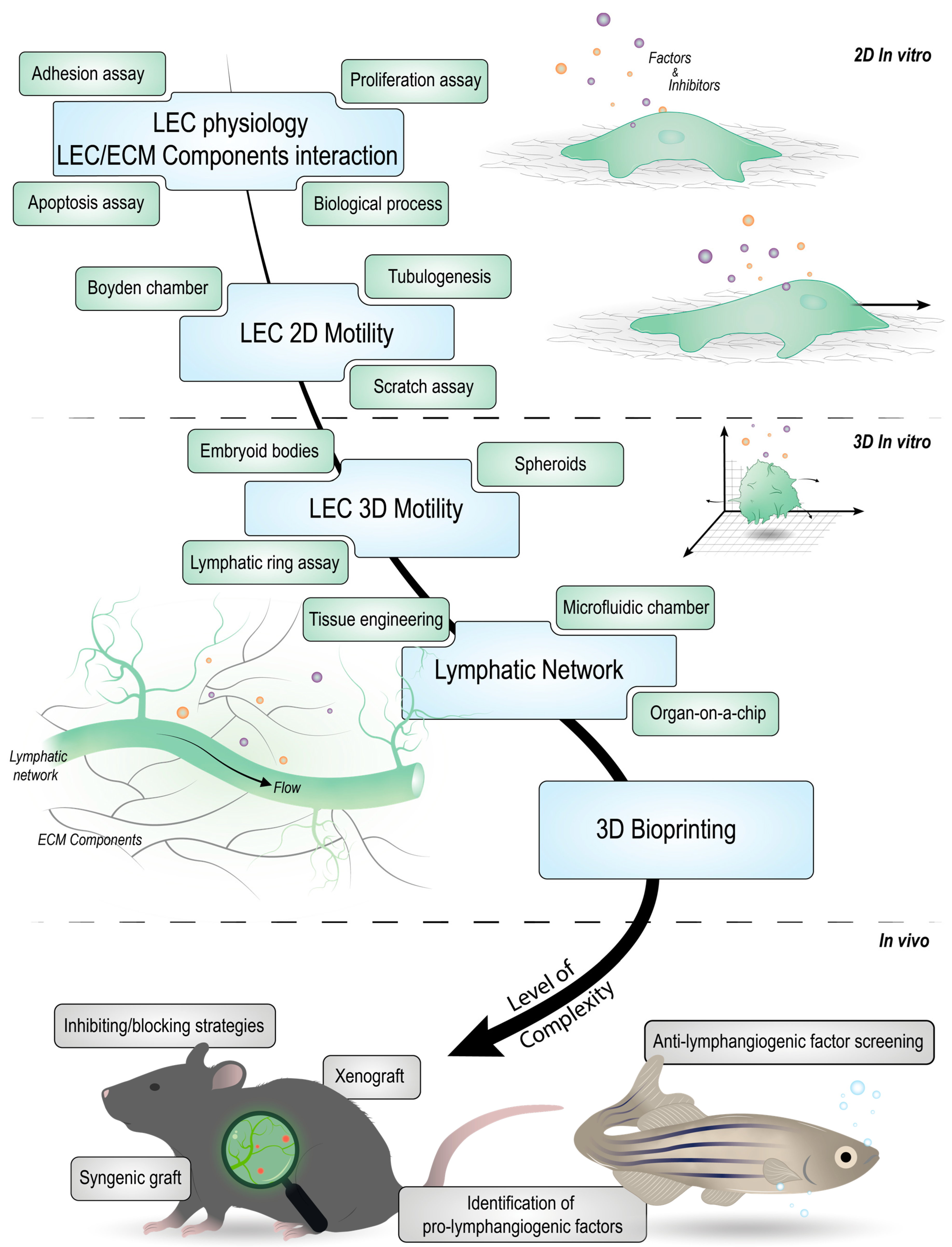 Cancers 14 01525 g002 Cancers 14 01525 g002