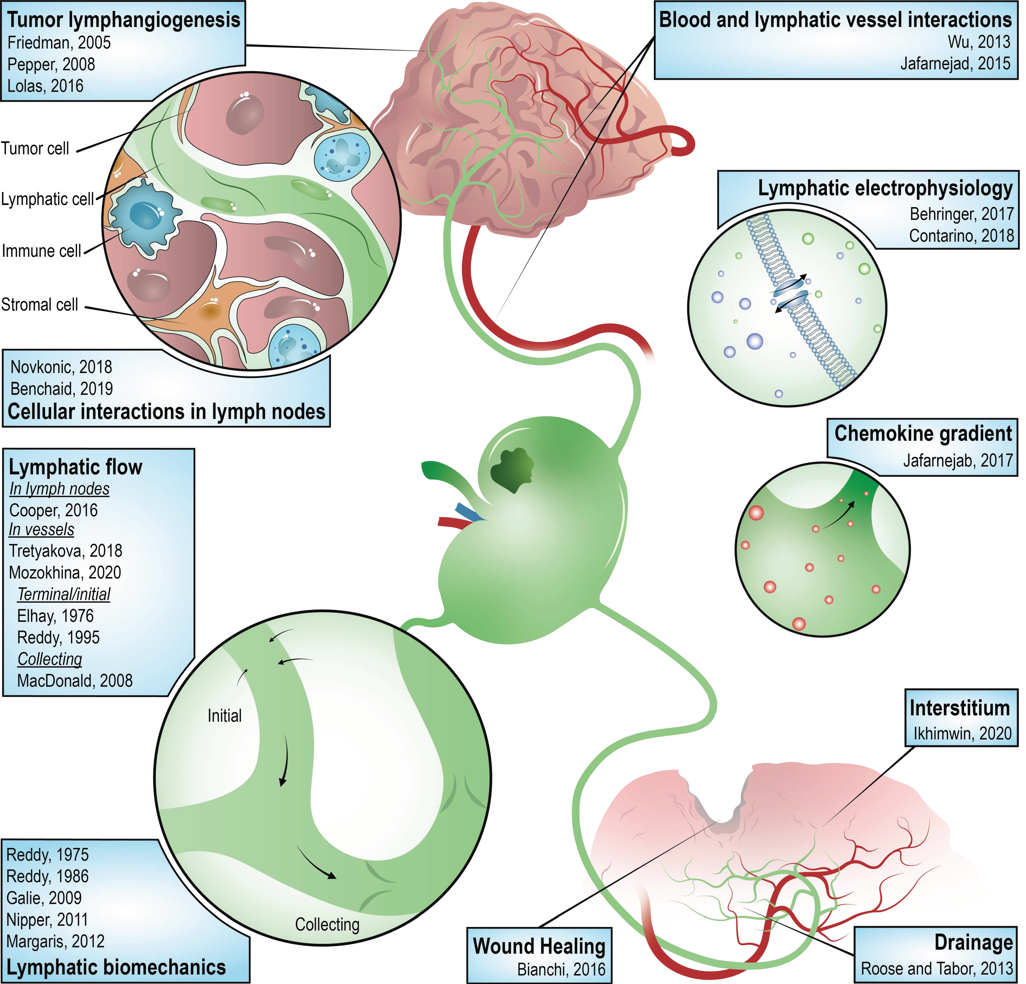 Cancers 14 01525 g004 Cancers 14 01525 g004