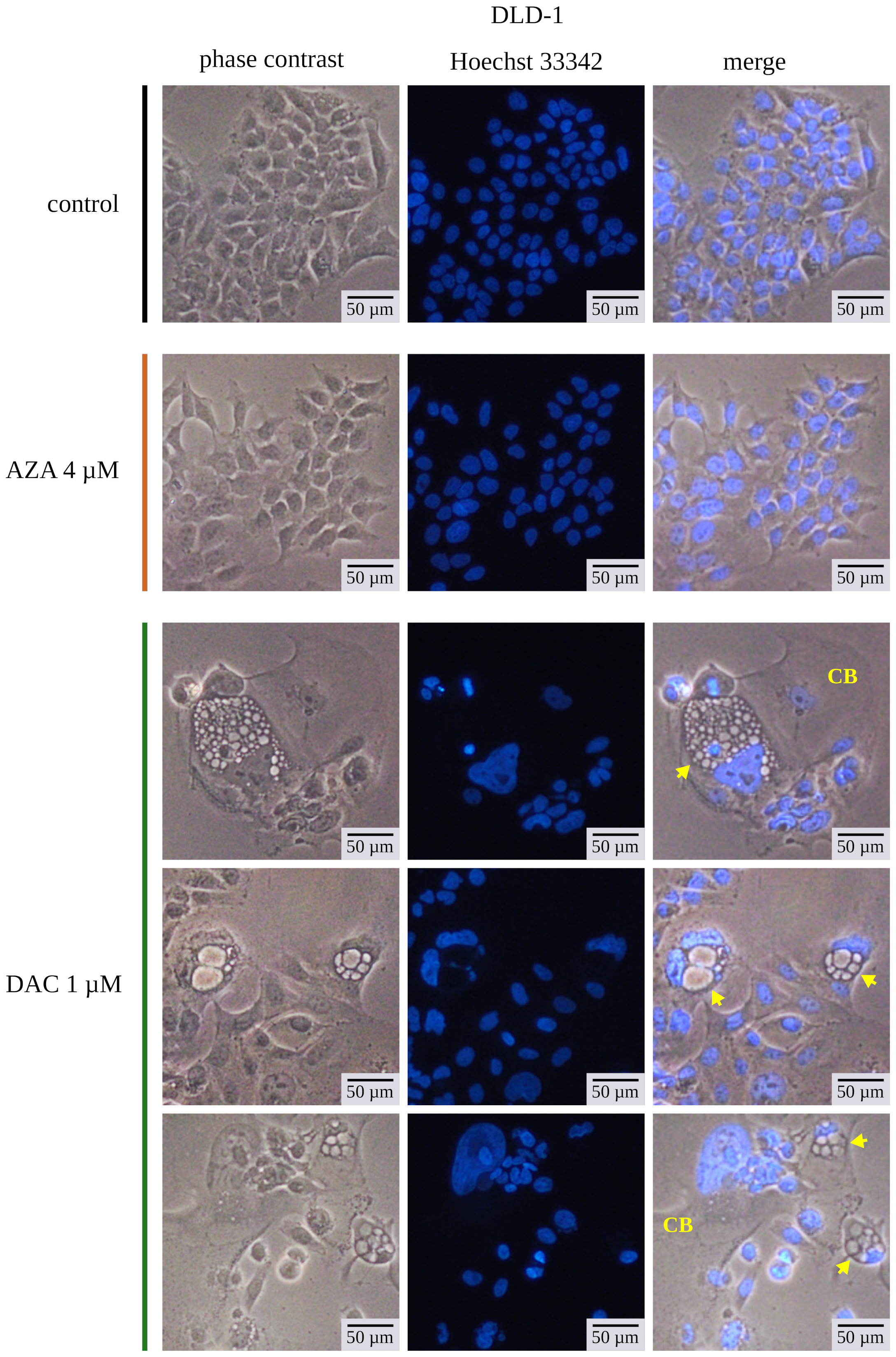 Cancers 14 01530 g008