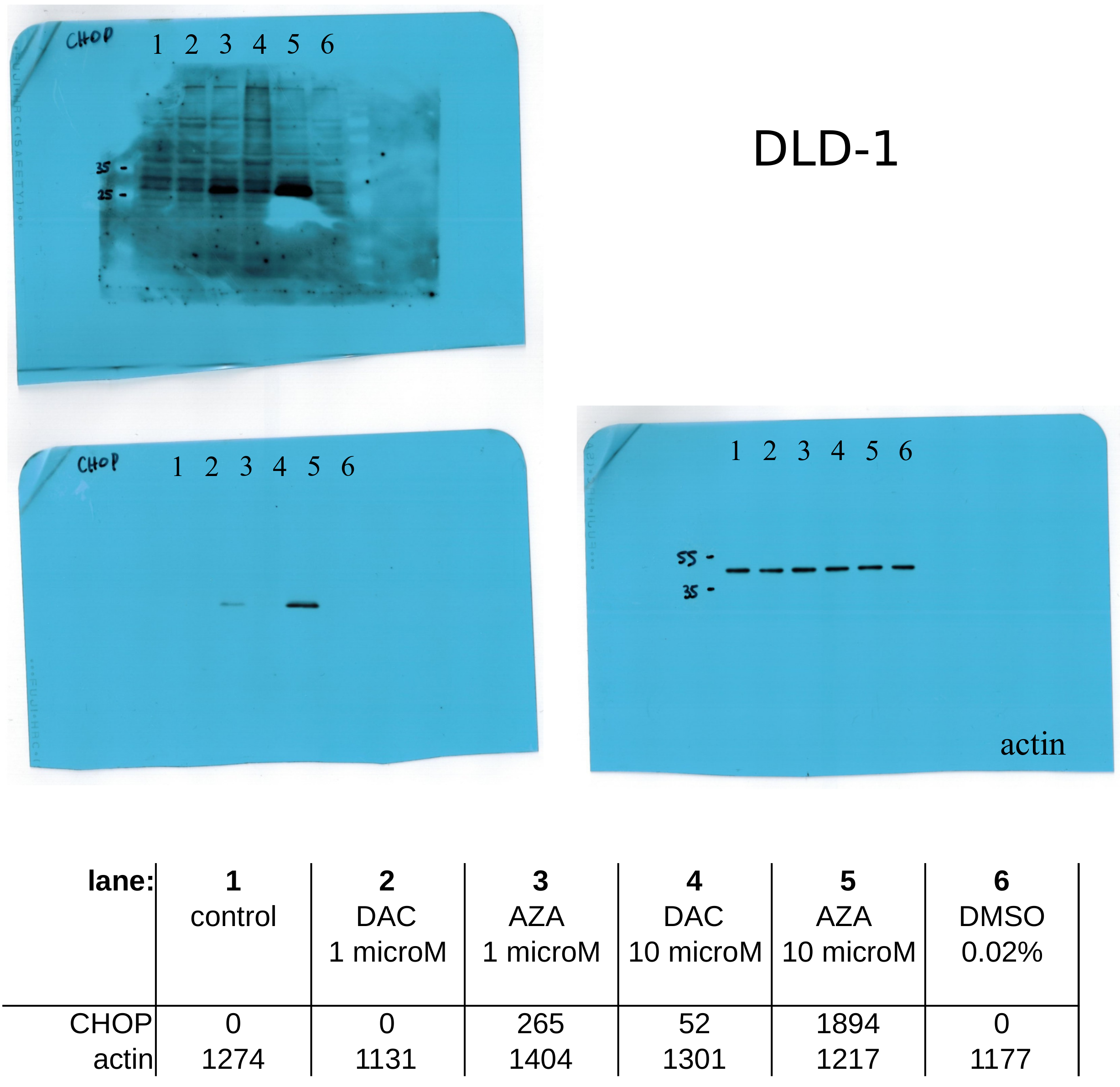 Cancers 14 01530 g0a12
