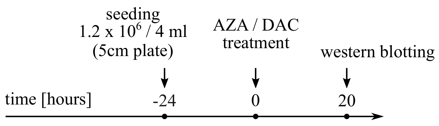 Cancers 14 01530 g0a3