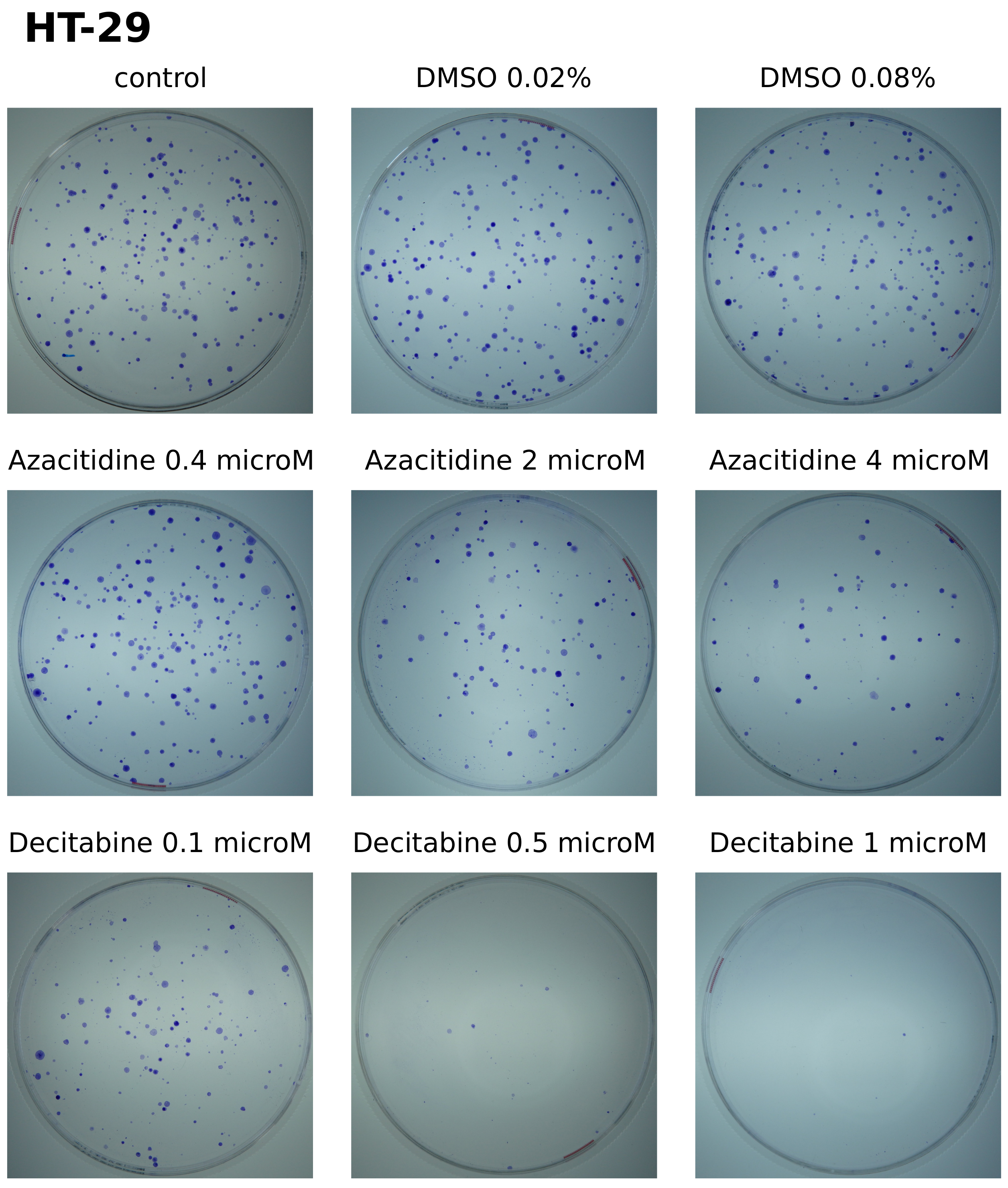 Cancers 14 01530 g0a8