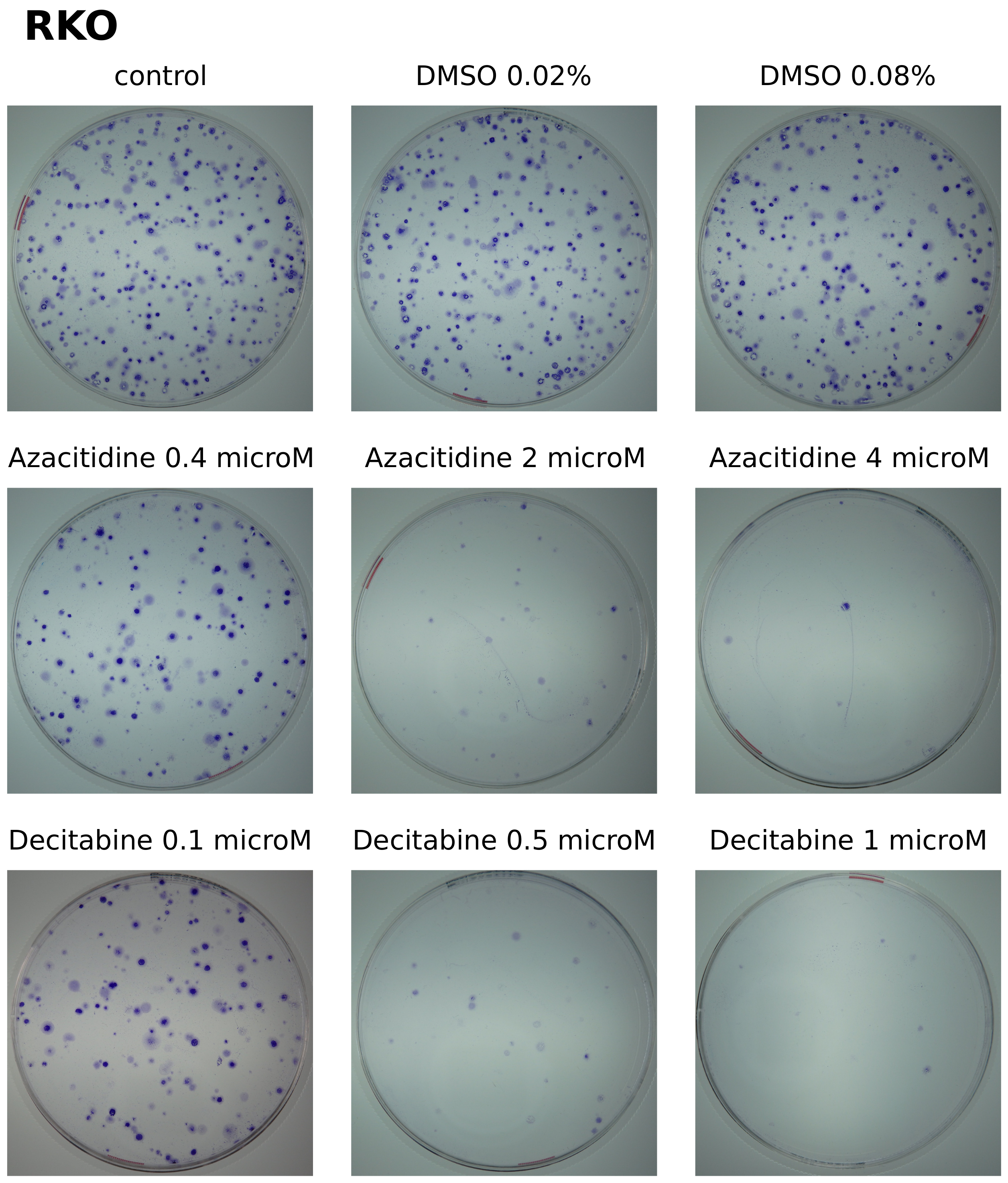 Cancers 14 01530 g0a9