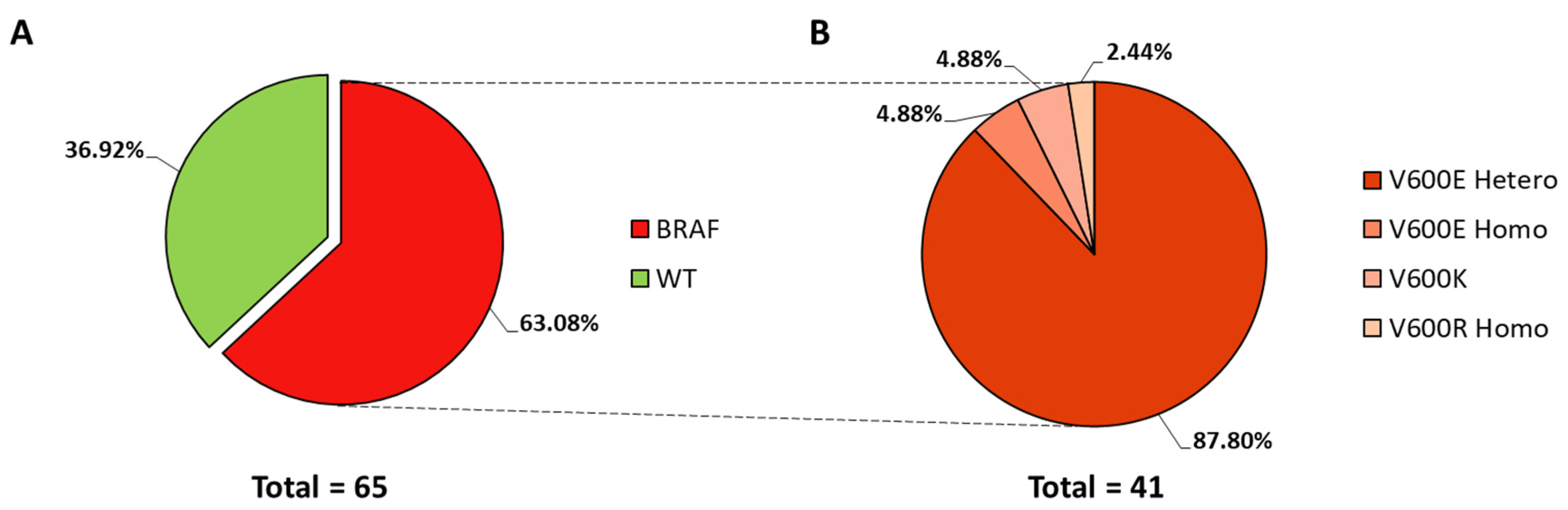 Cancers 14 01532 g001 Cancers 14 01532 g001