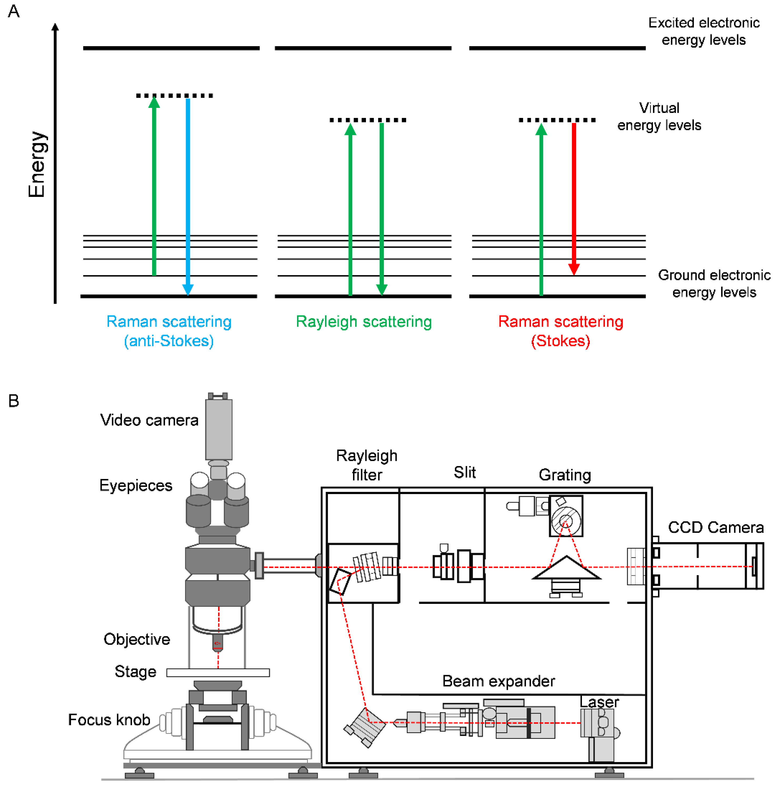 Cancers 14 01535 g001 Cancers 14 01535 g001