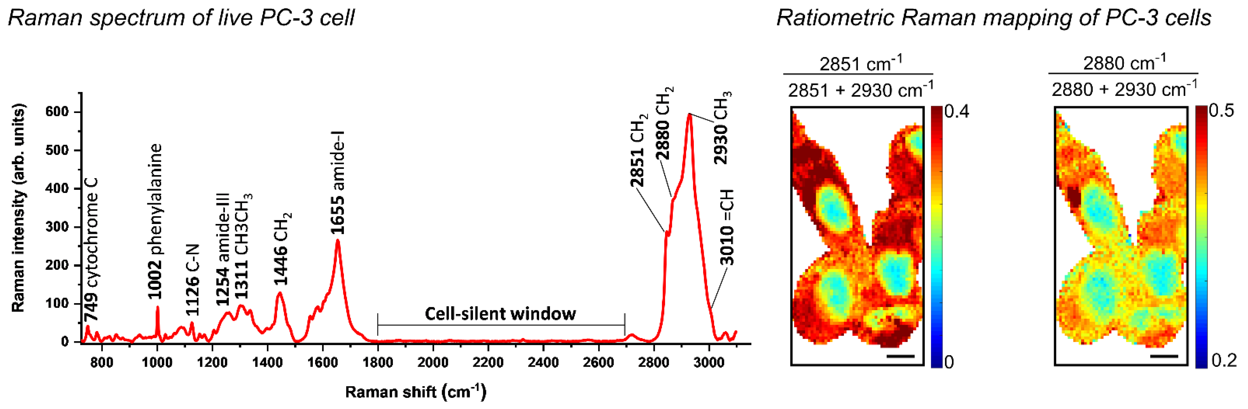 Cancers 14 01535 g002 Cancers 14 01535 g002