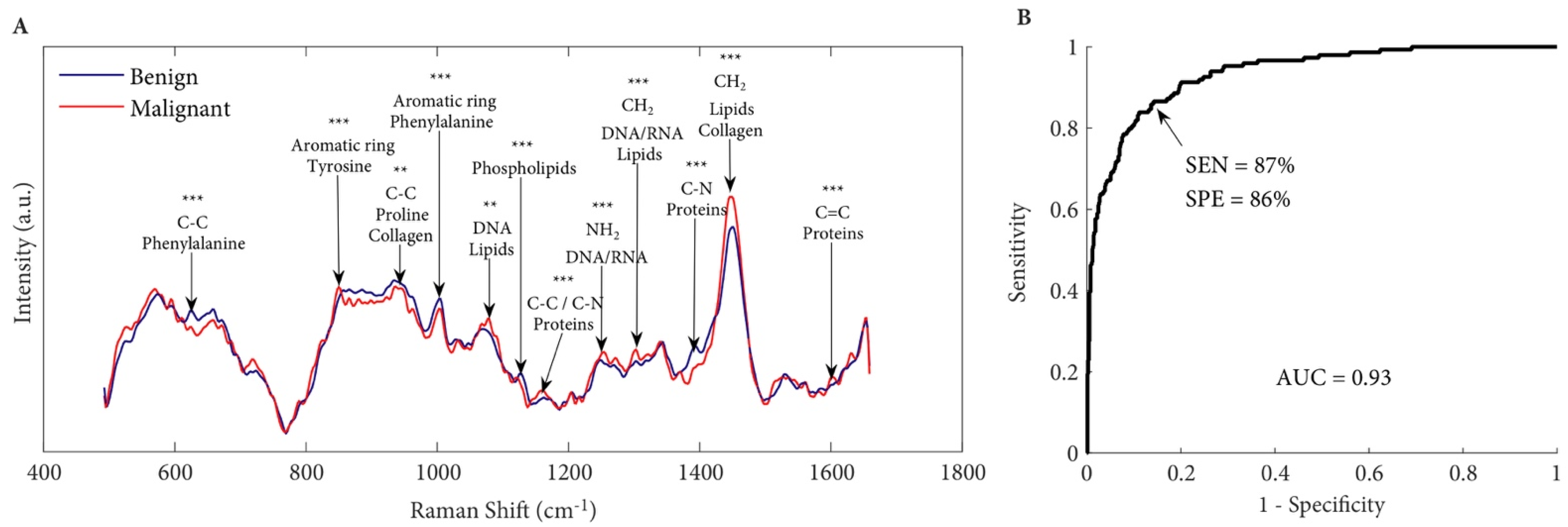 Cancers 14 01535 g006 Cancers 14 01535 g006