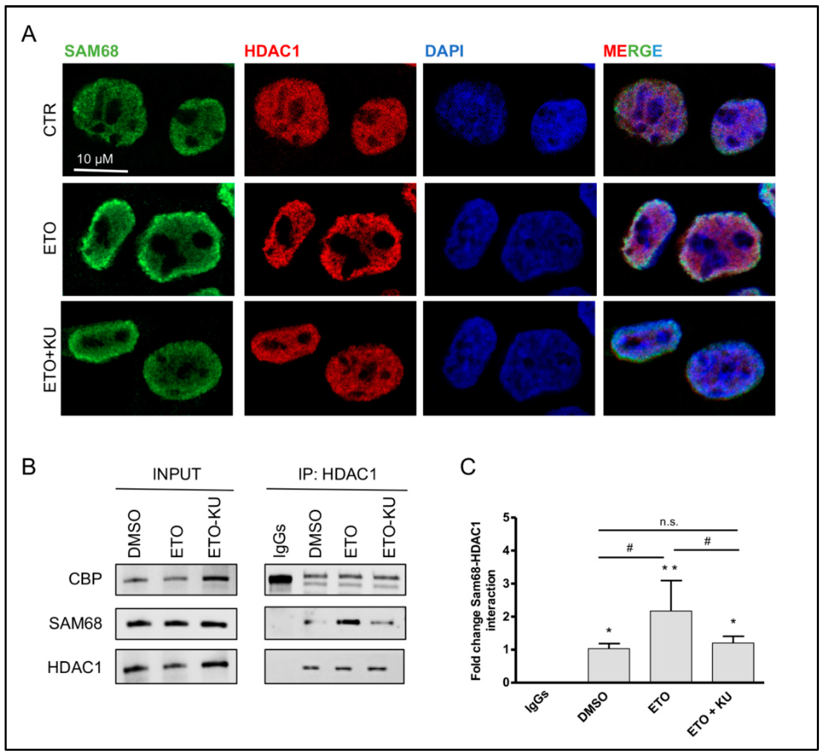 Cancers 14 01537 g004 550