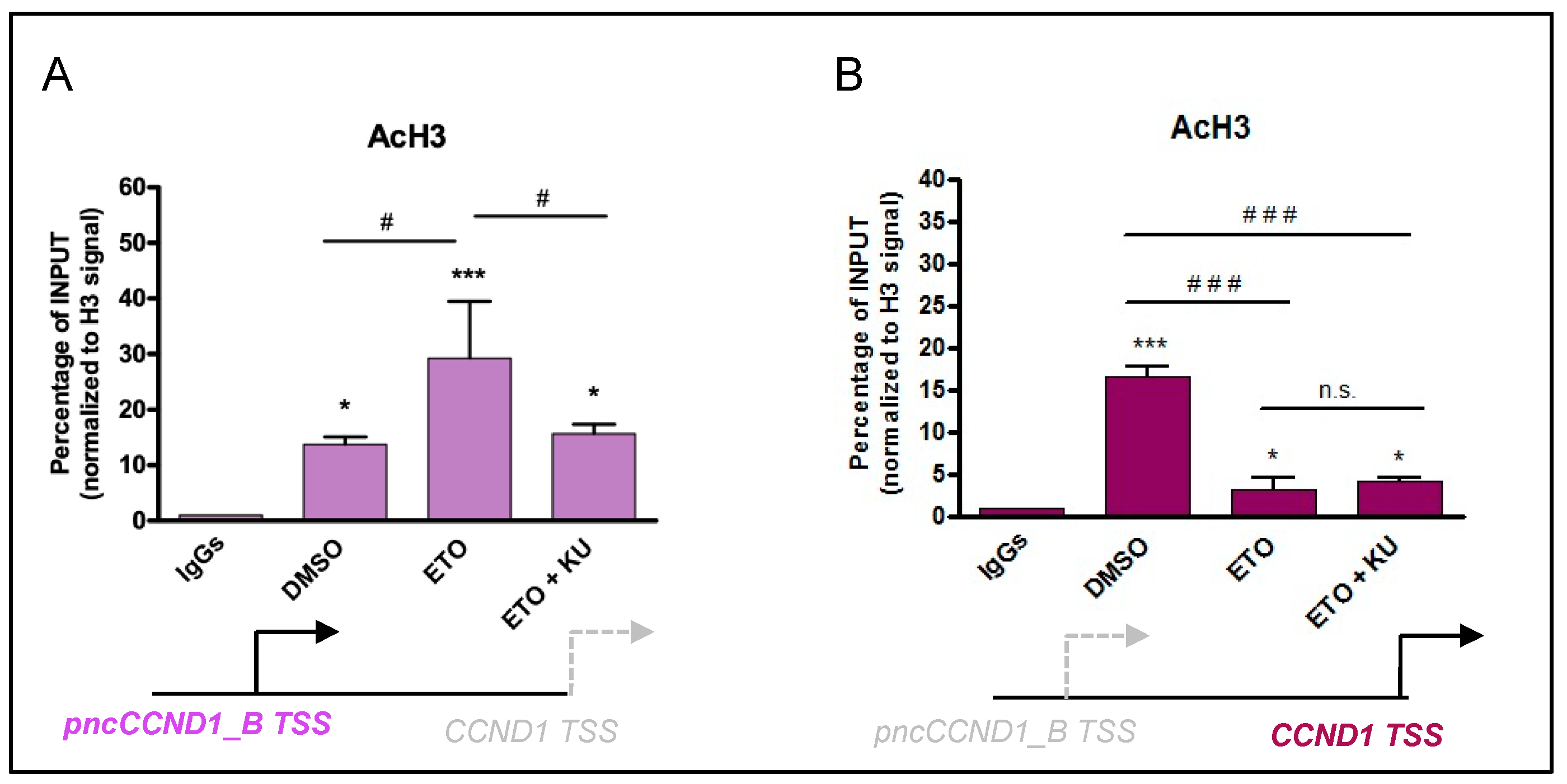 Cancers 14 01537 g005 550