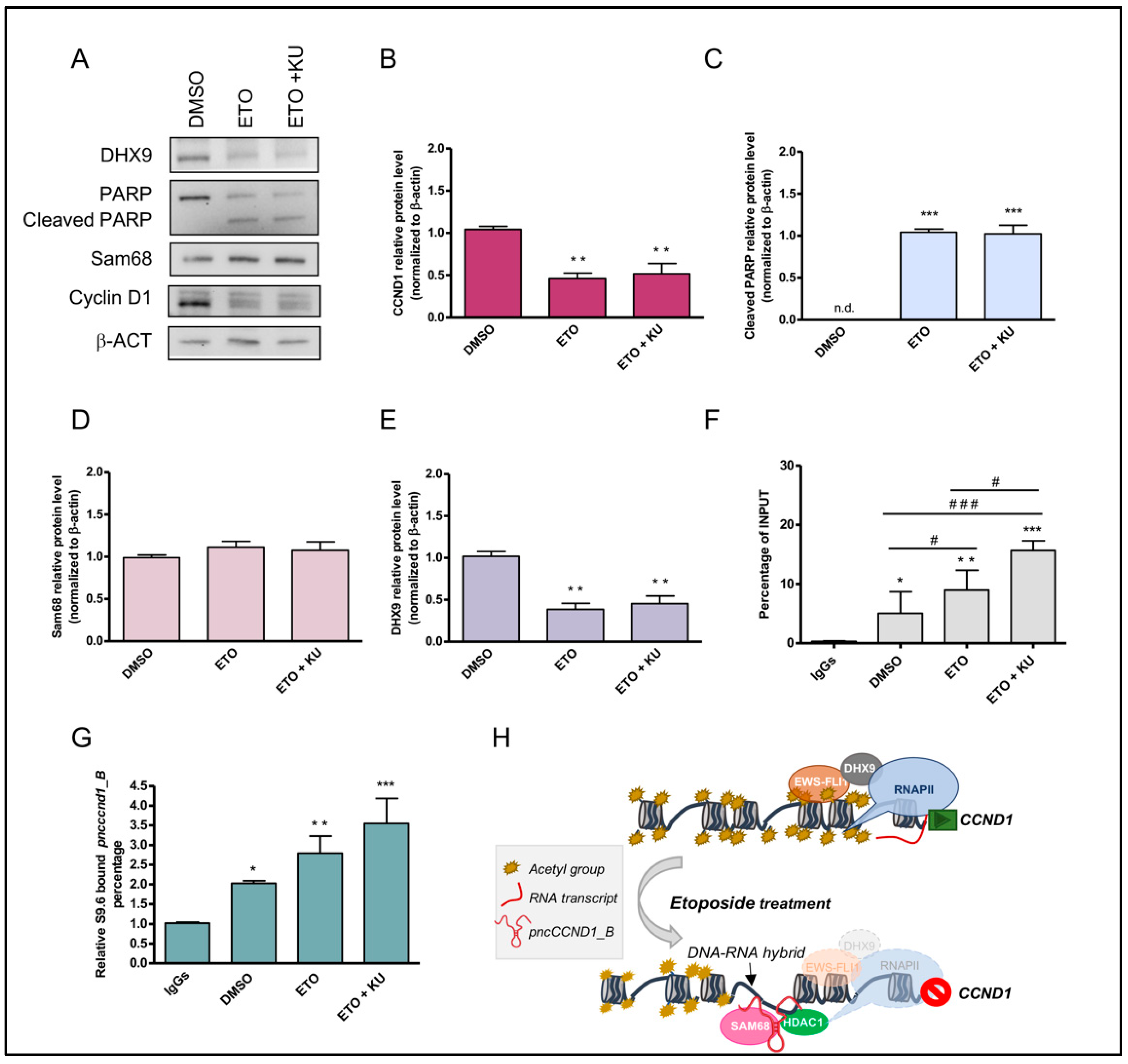 Cancers 14 01537 g006 550