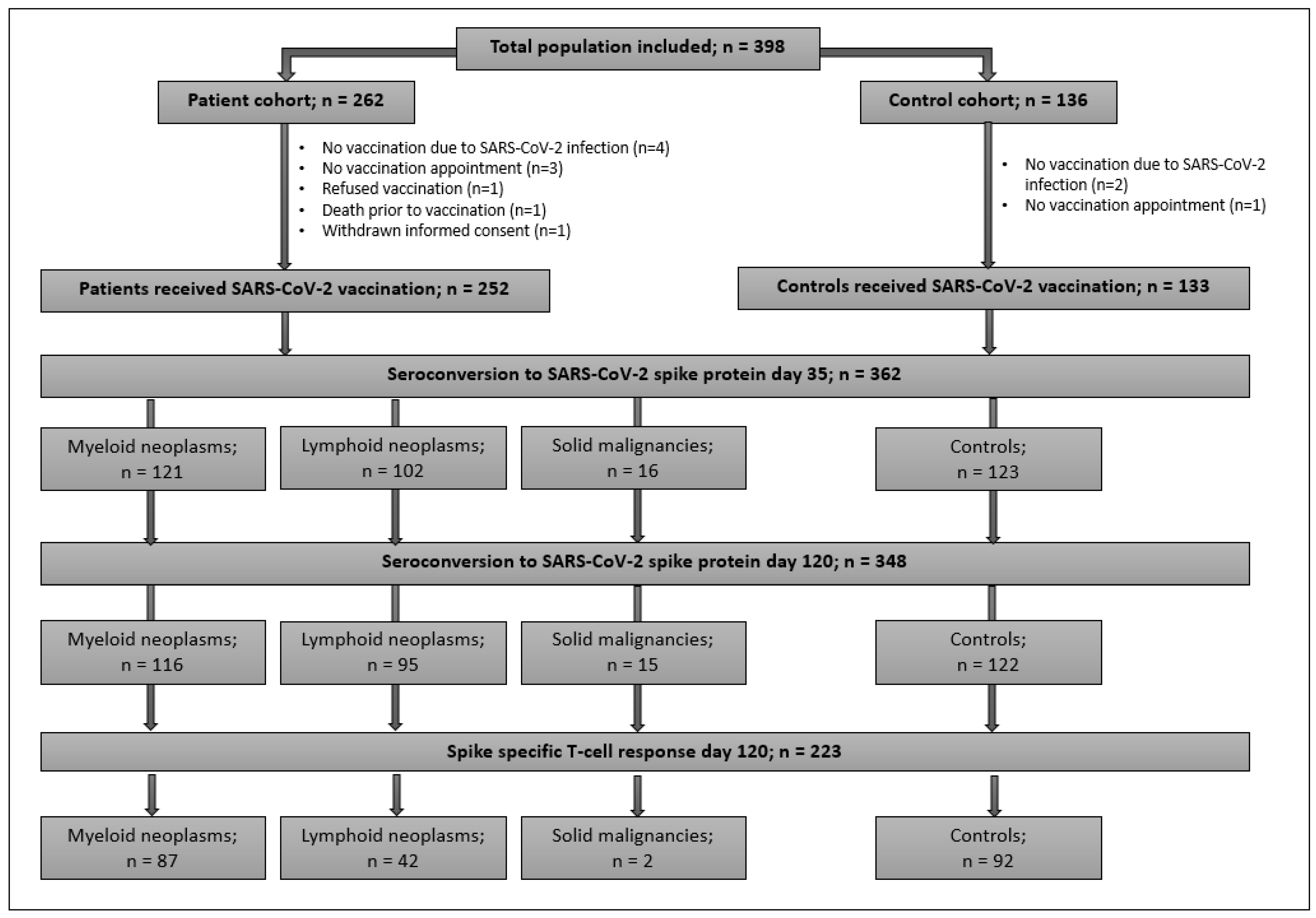 Cancers 14 01544 g001