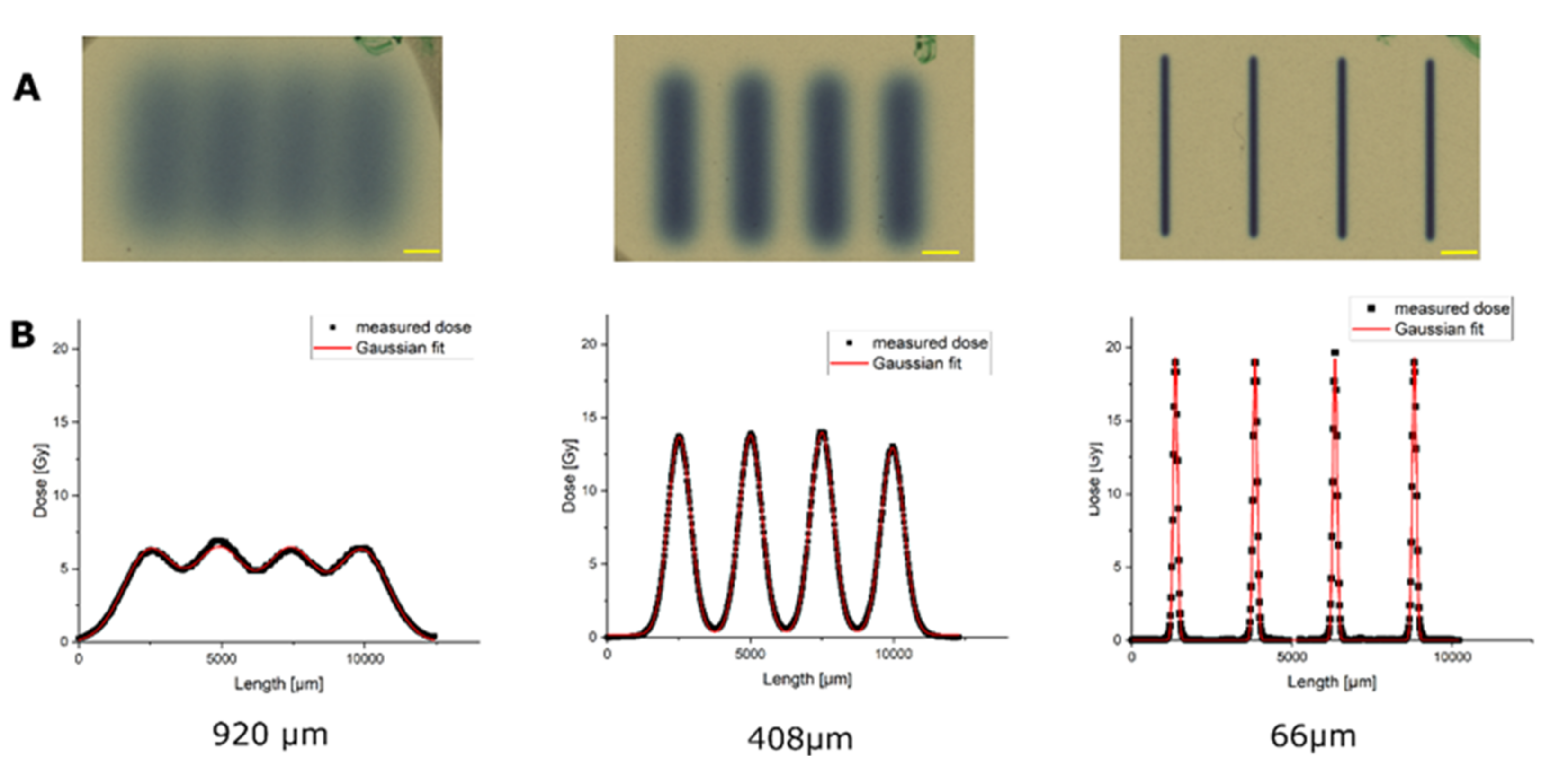 Cancers 14 01545 g001